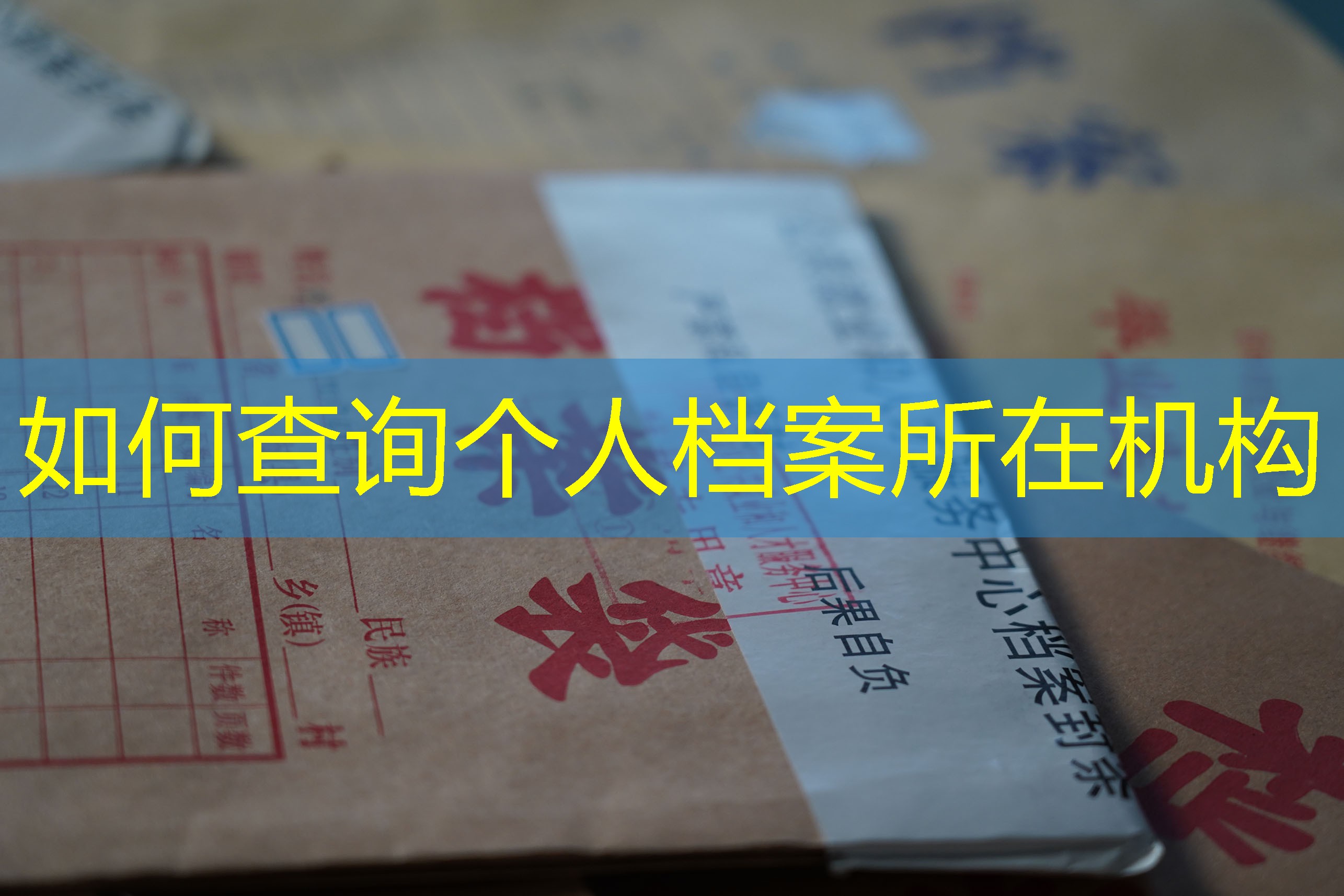 档案查询