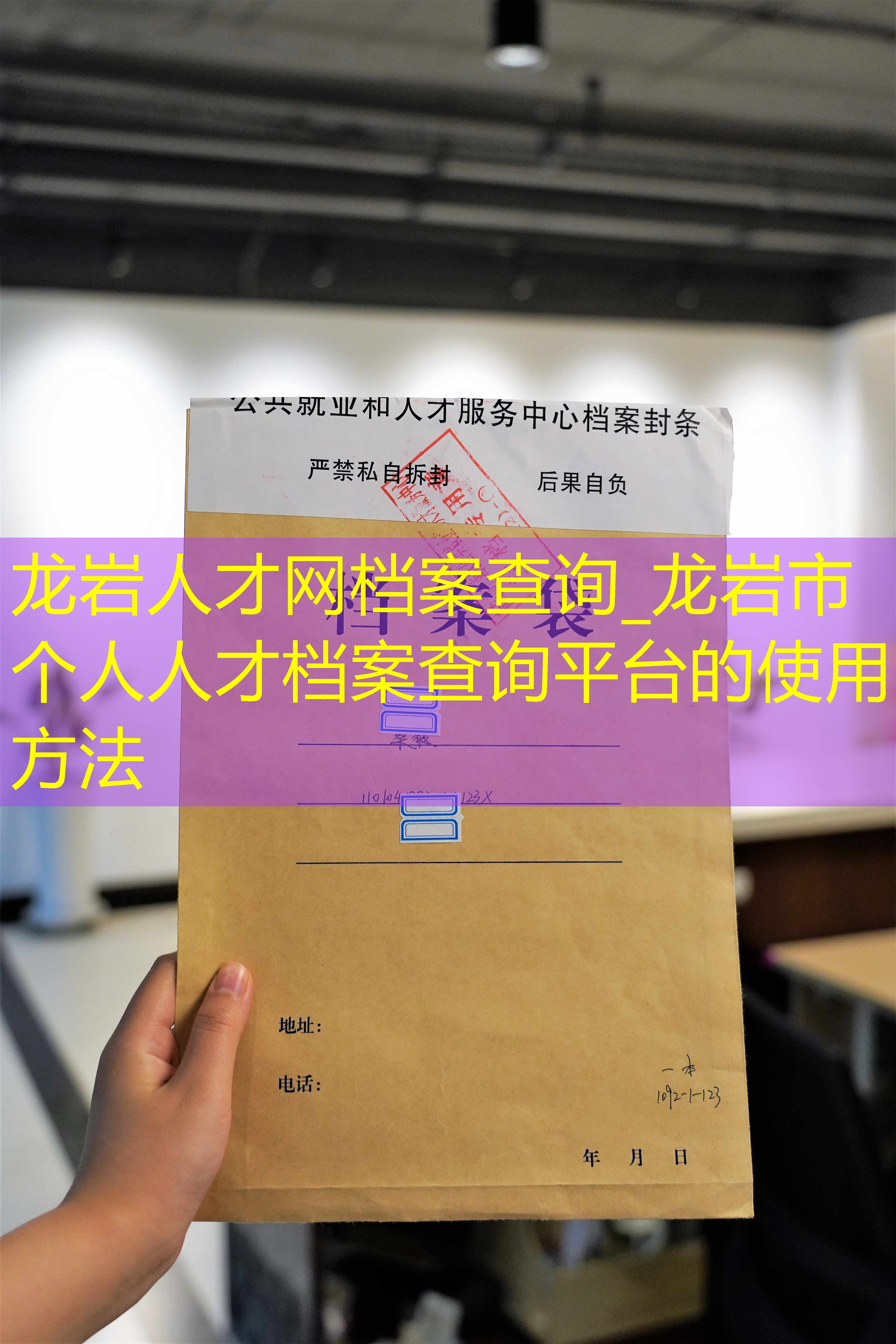 档案查询