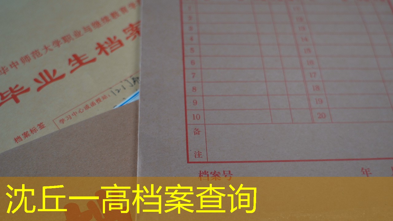 档案查询