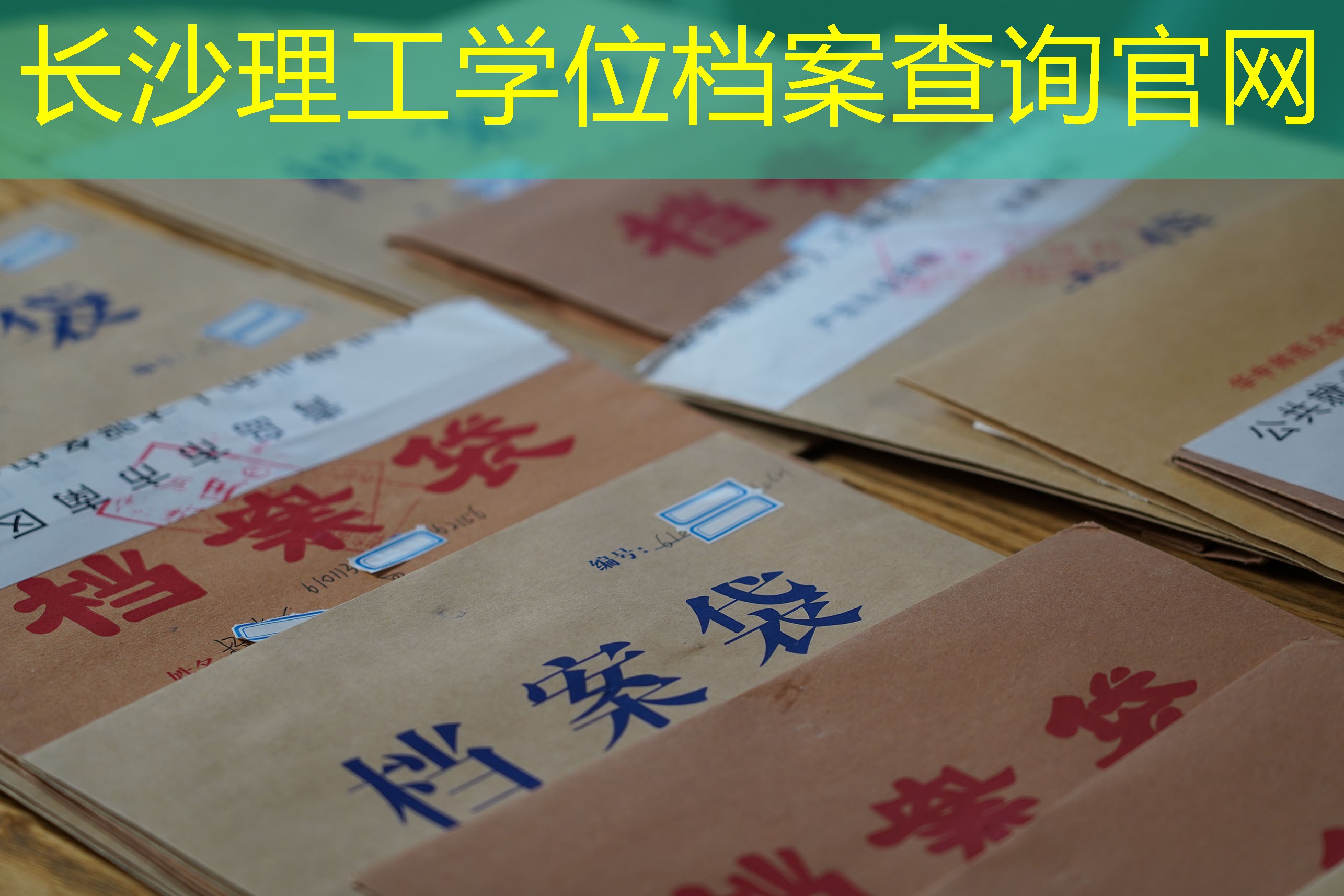 档案查询