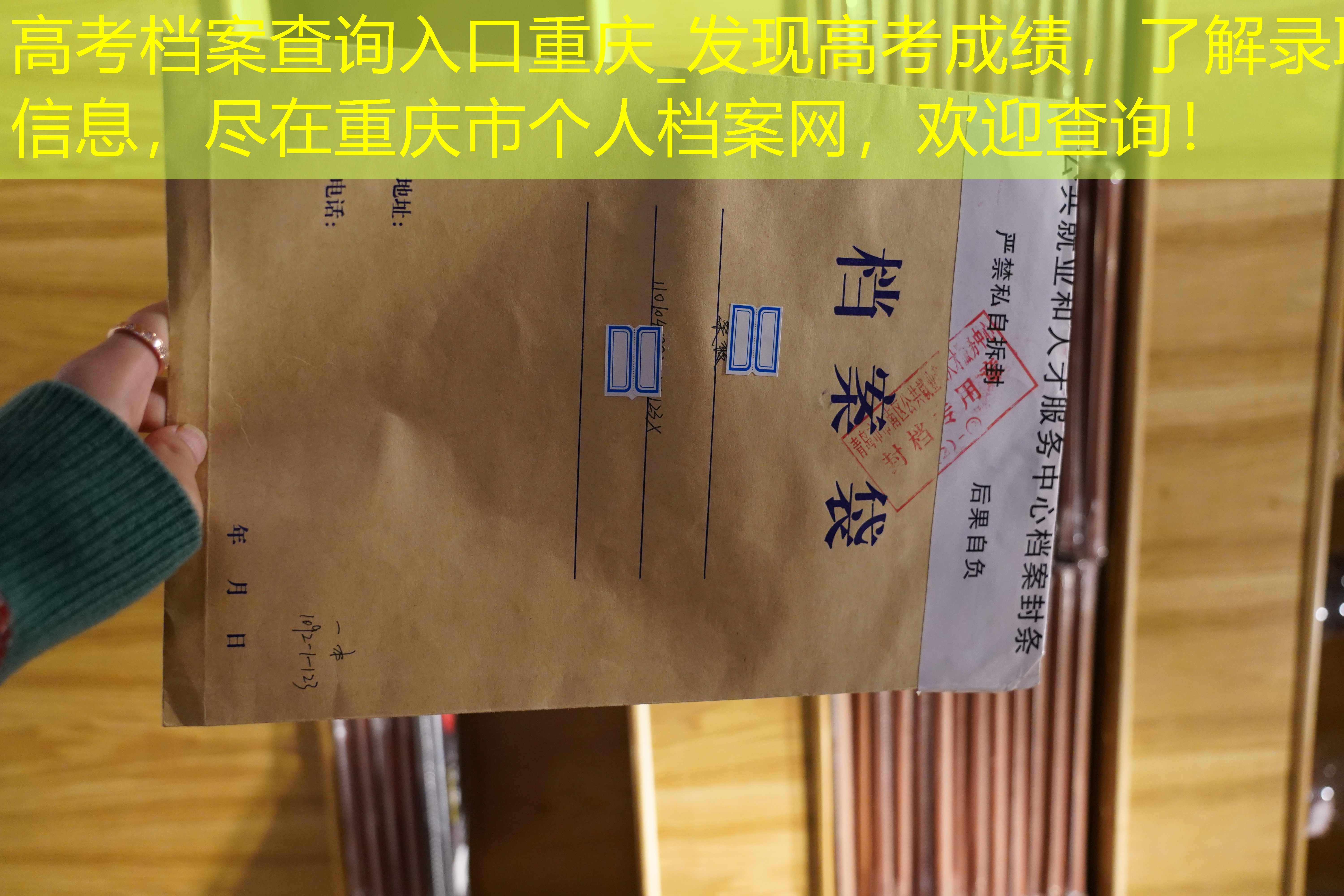 档案查询