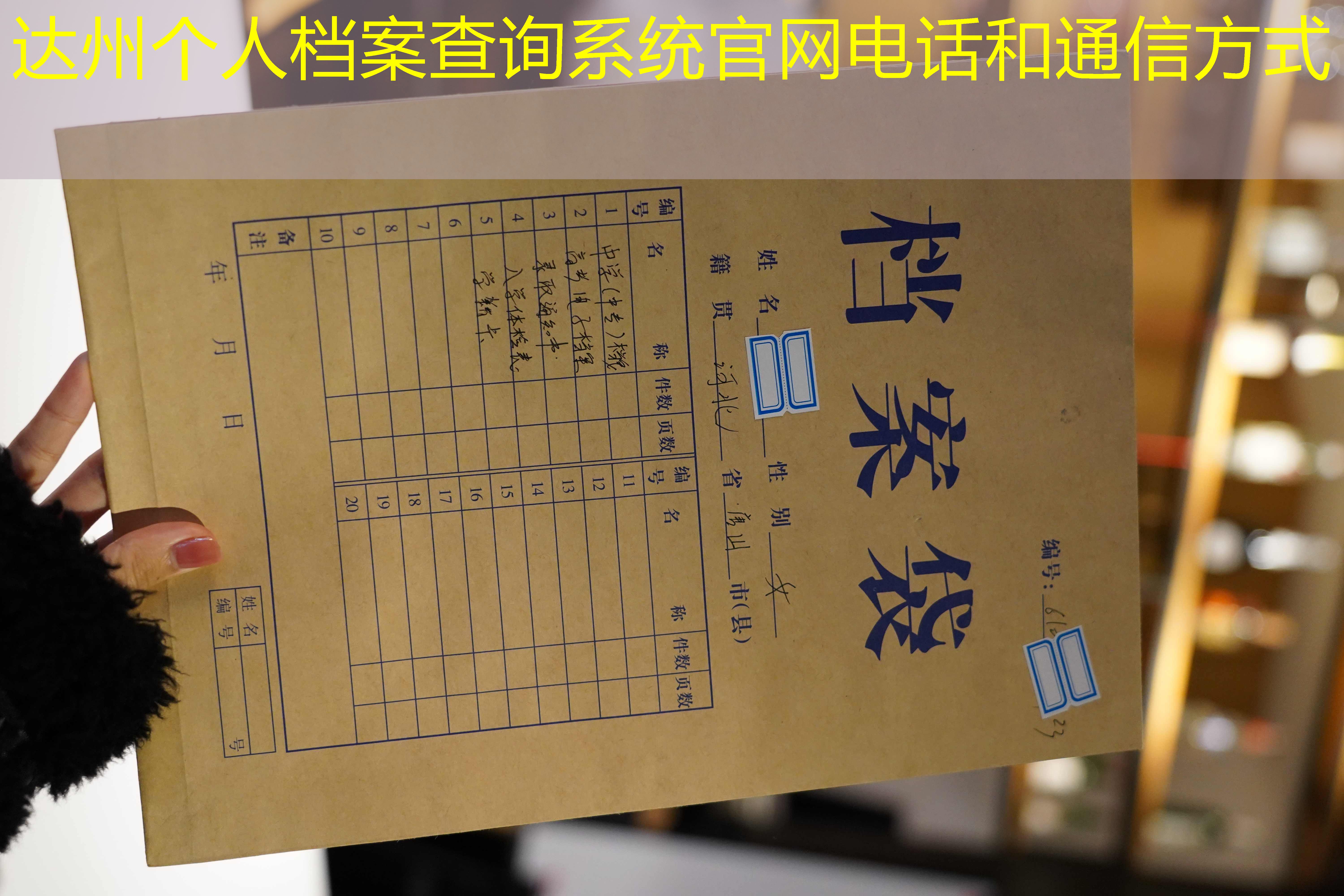 档案查询
