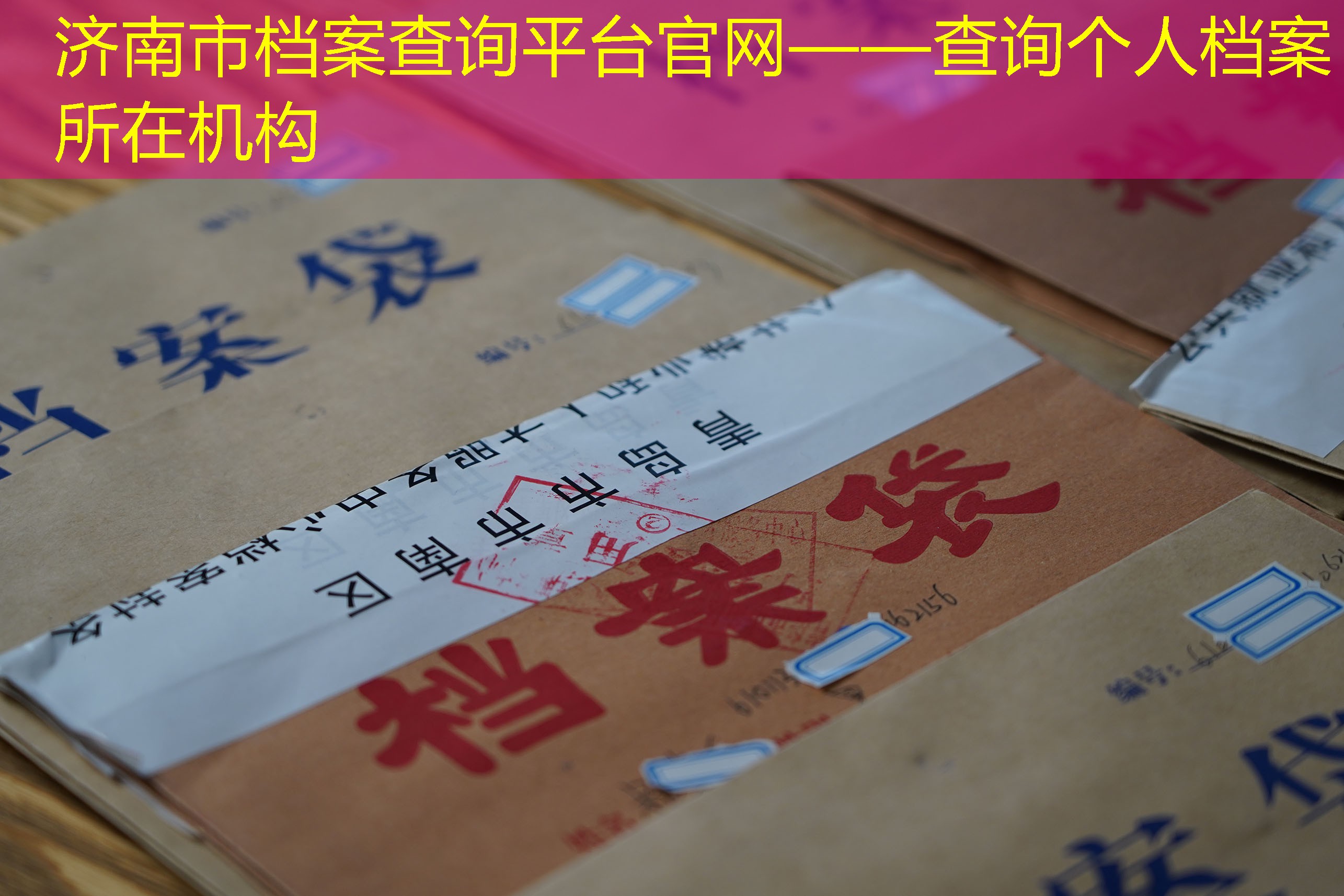 档案查询