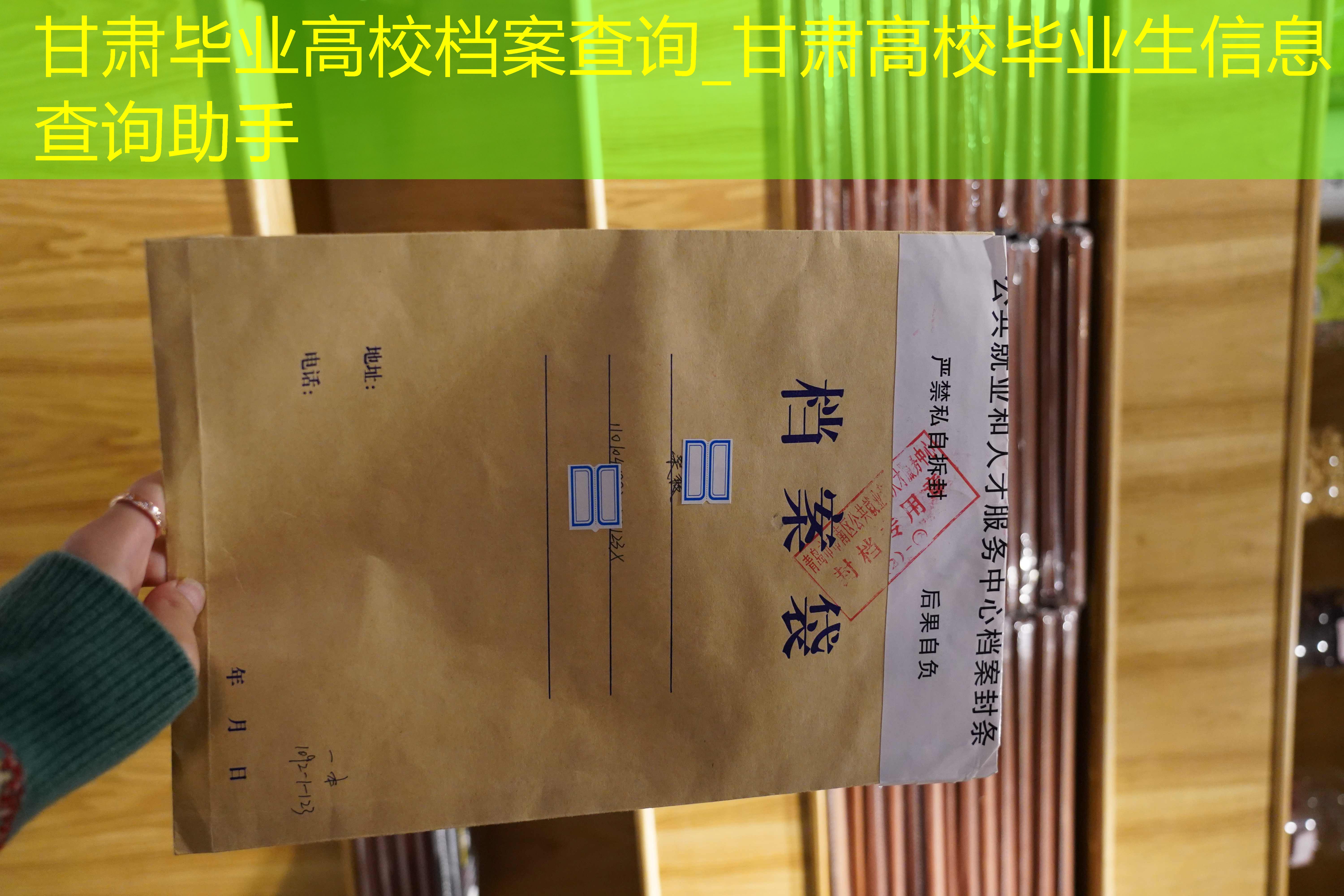 档案查询