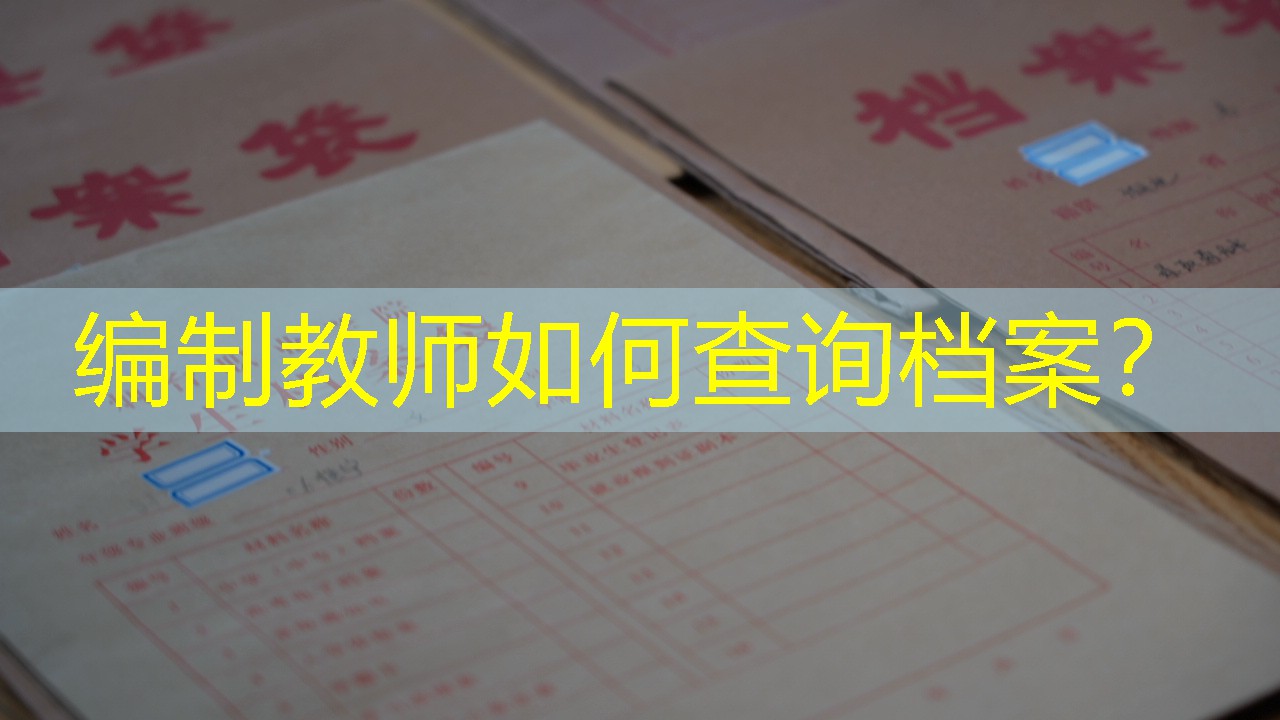 档案查询