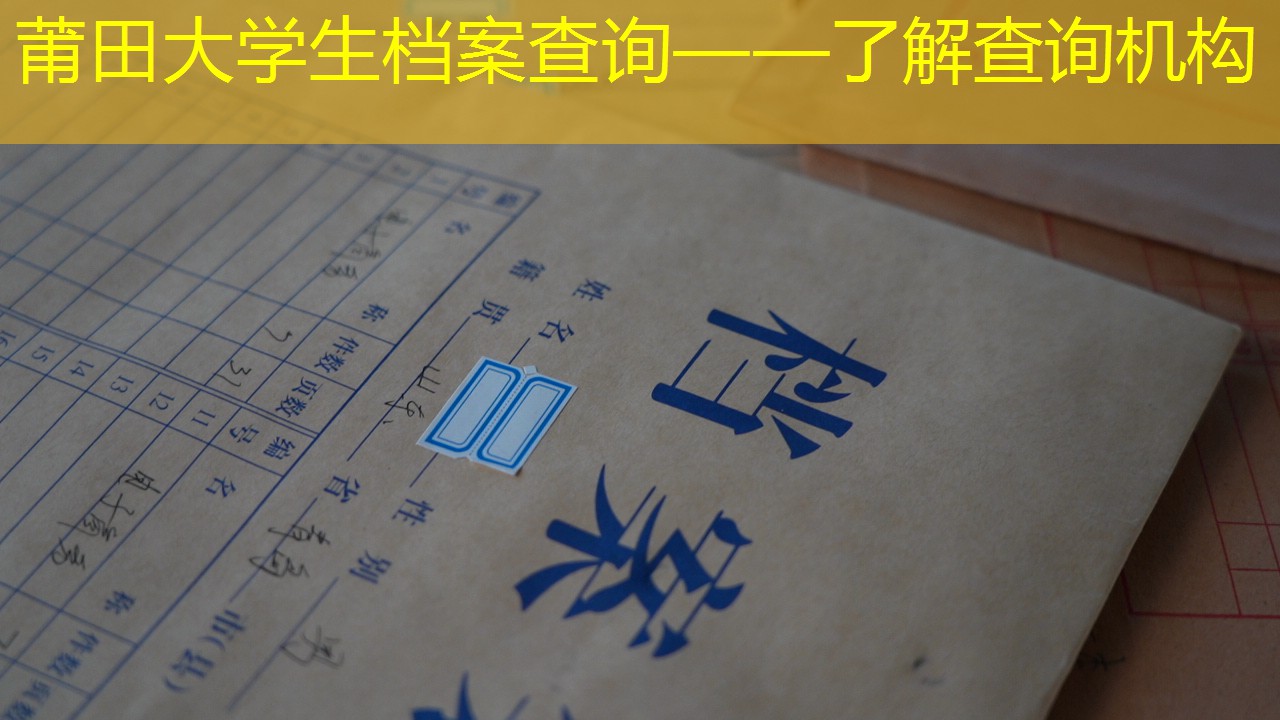 档案查询