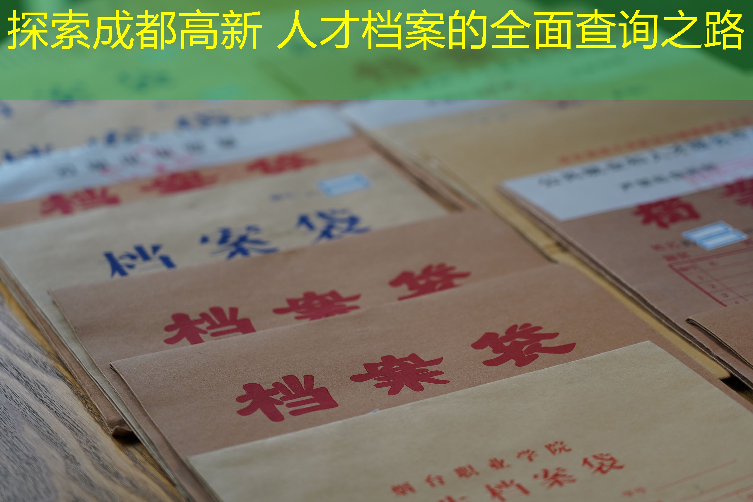 档案查询