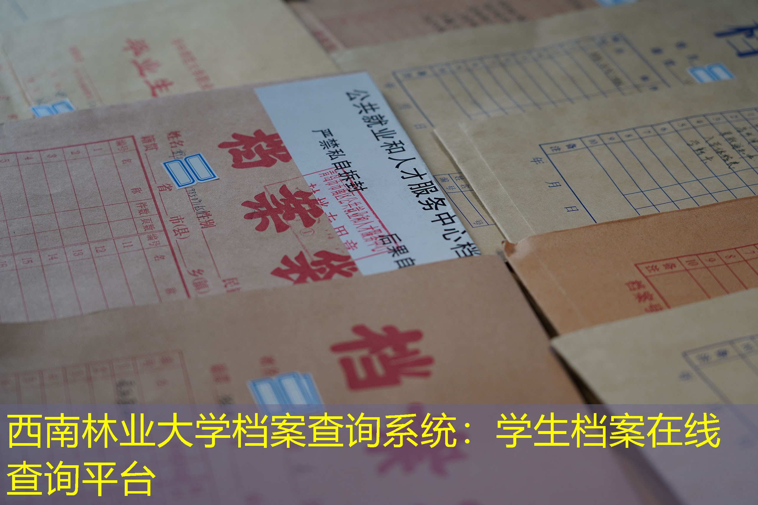 档案查询