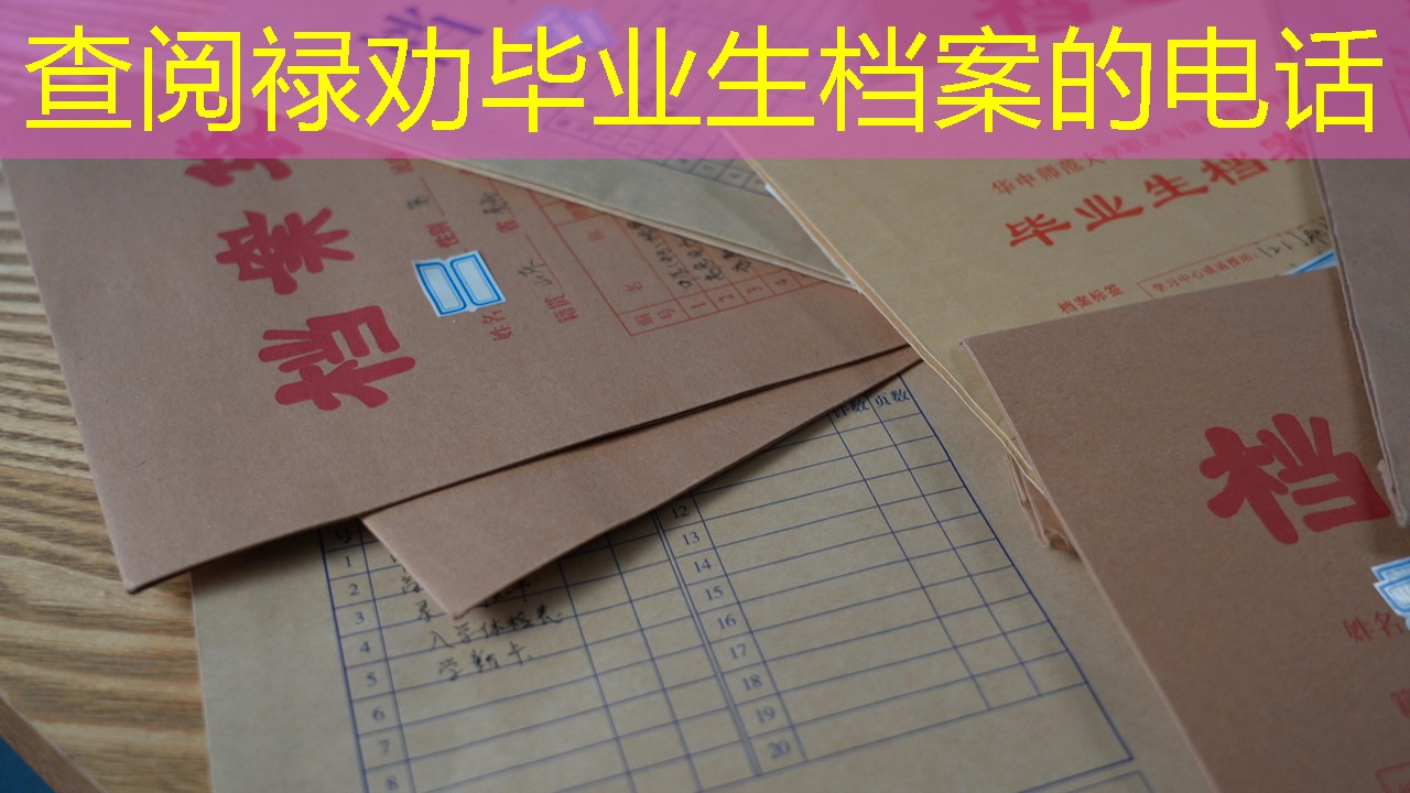 档案查询