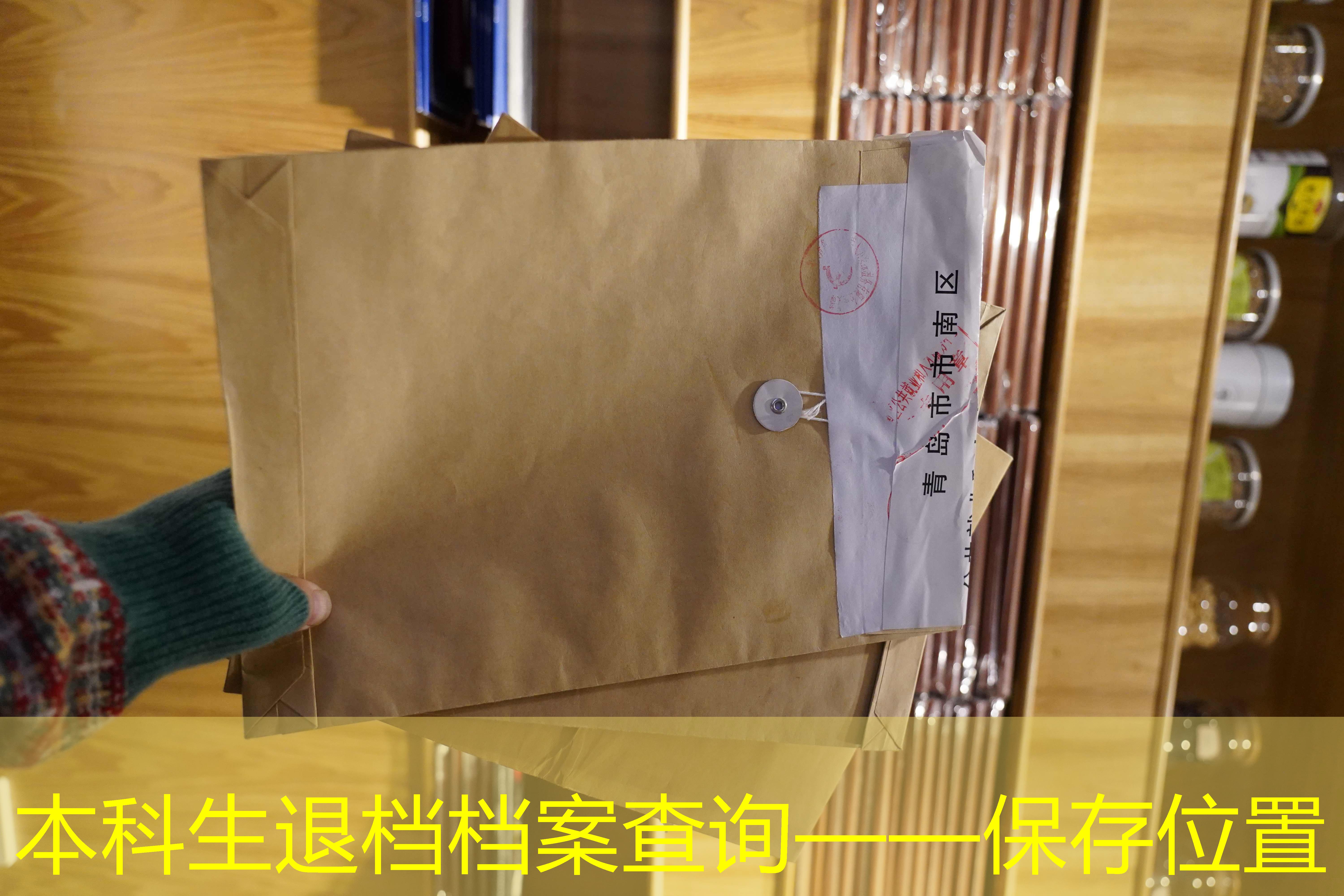 档案查询