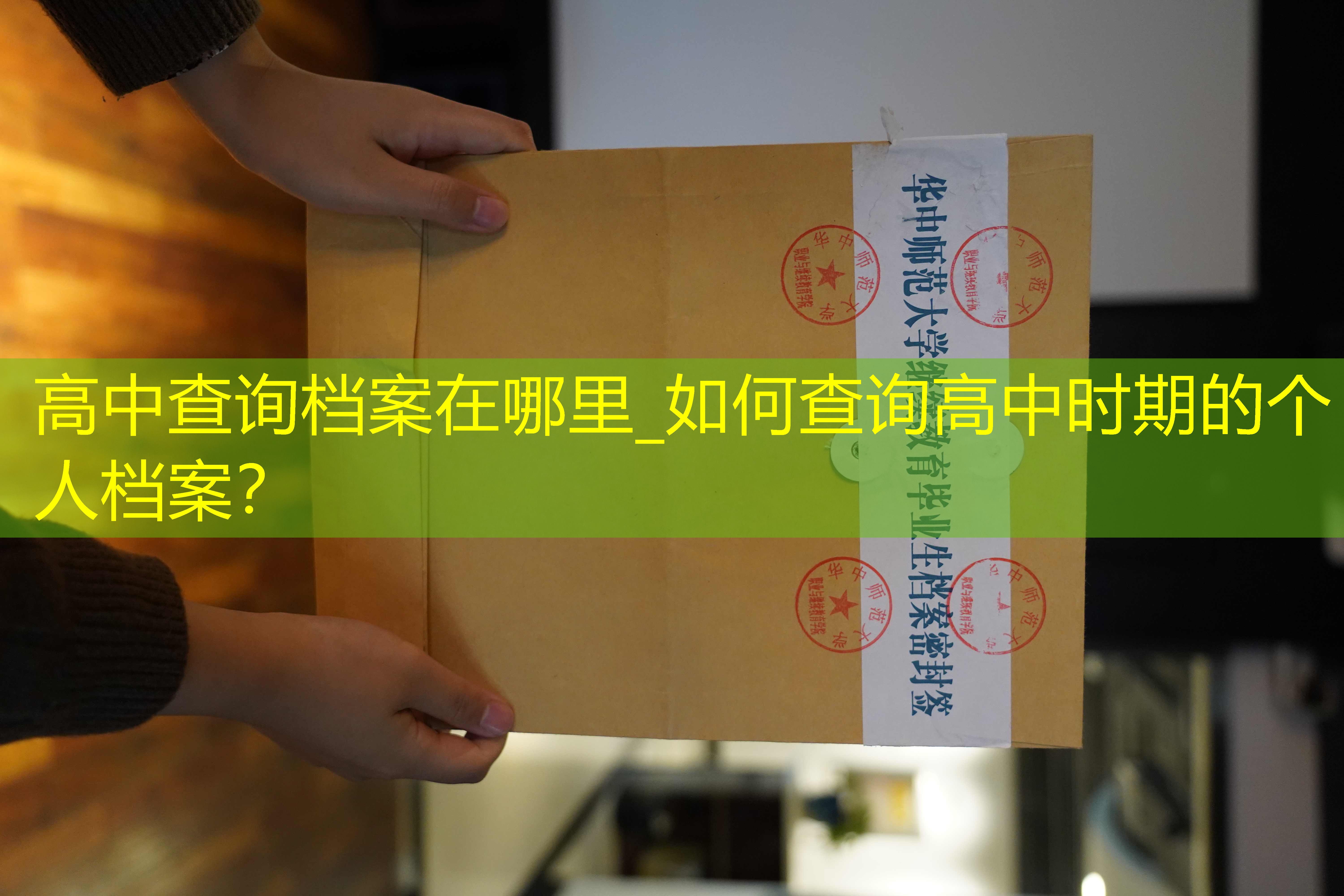 档案查询