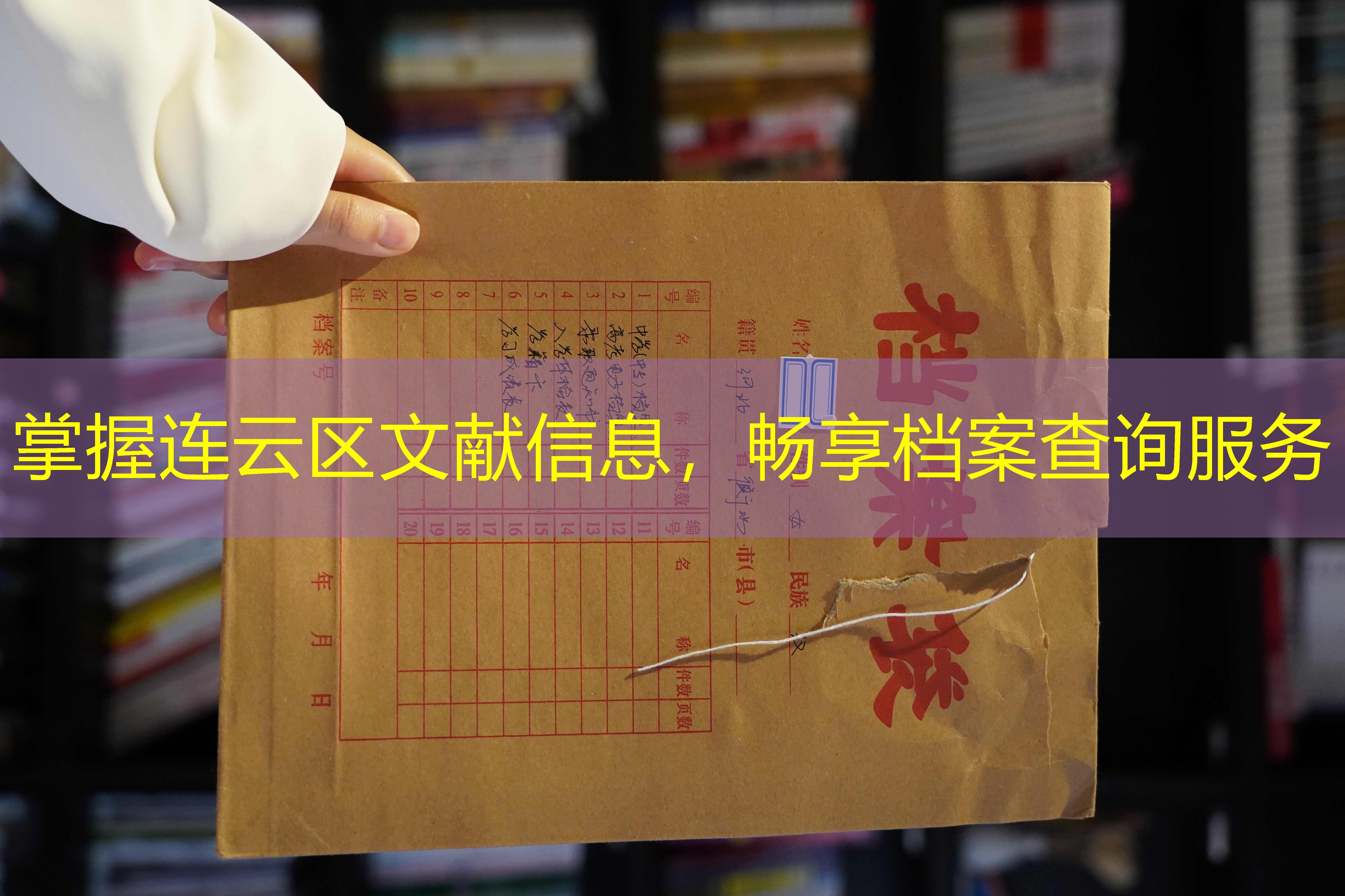 档案查询