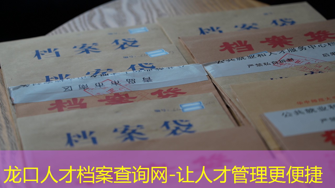 档案查询