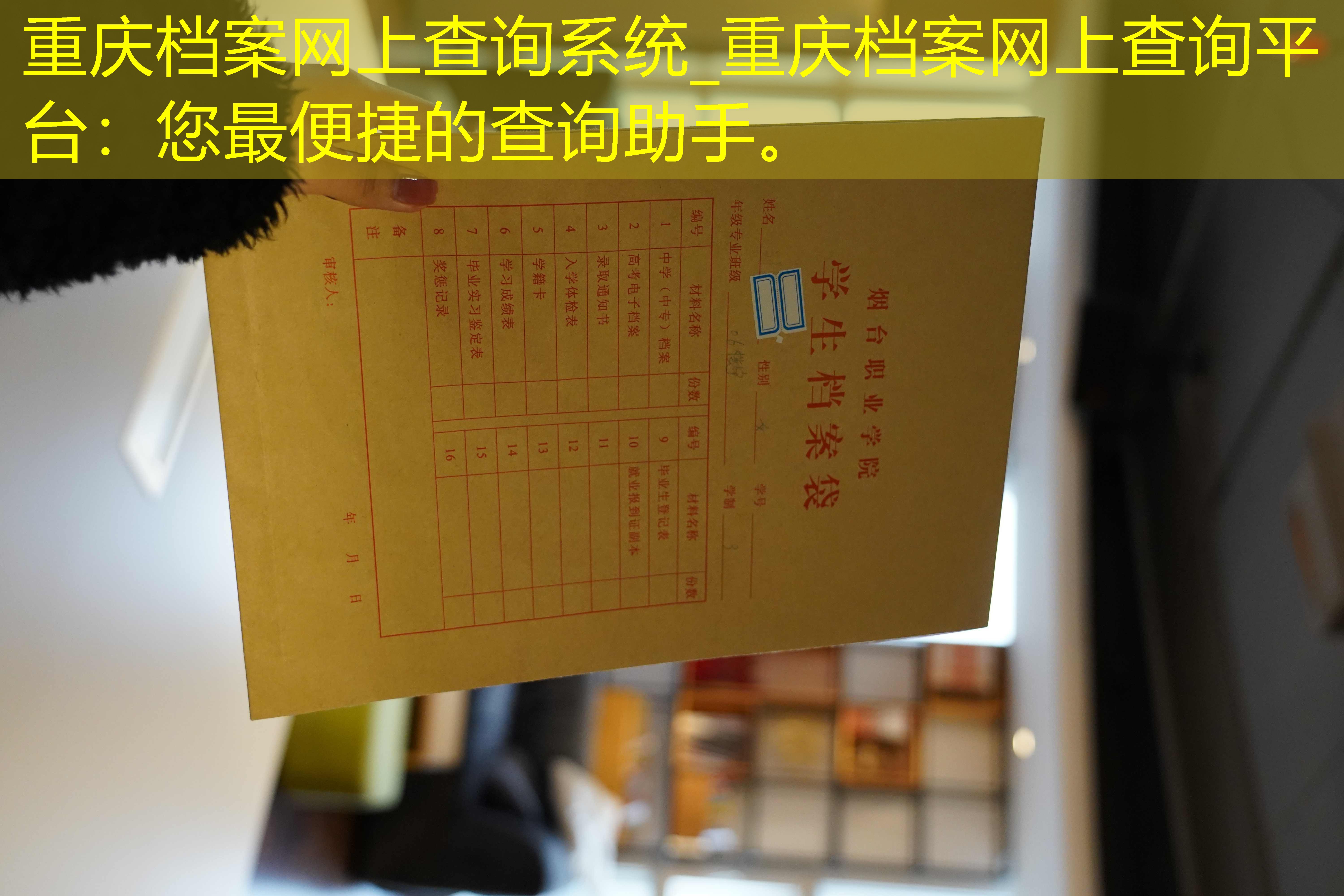 档案查询