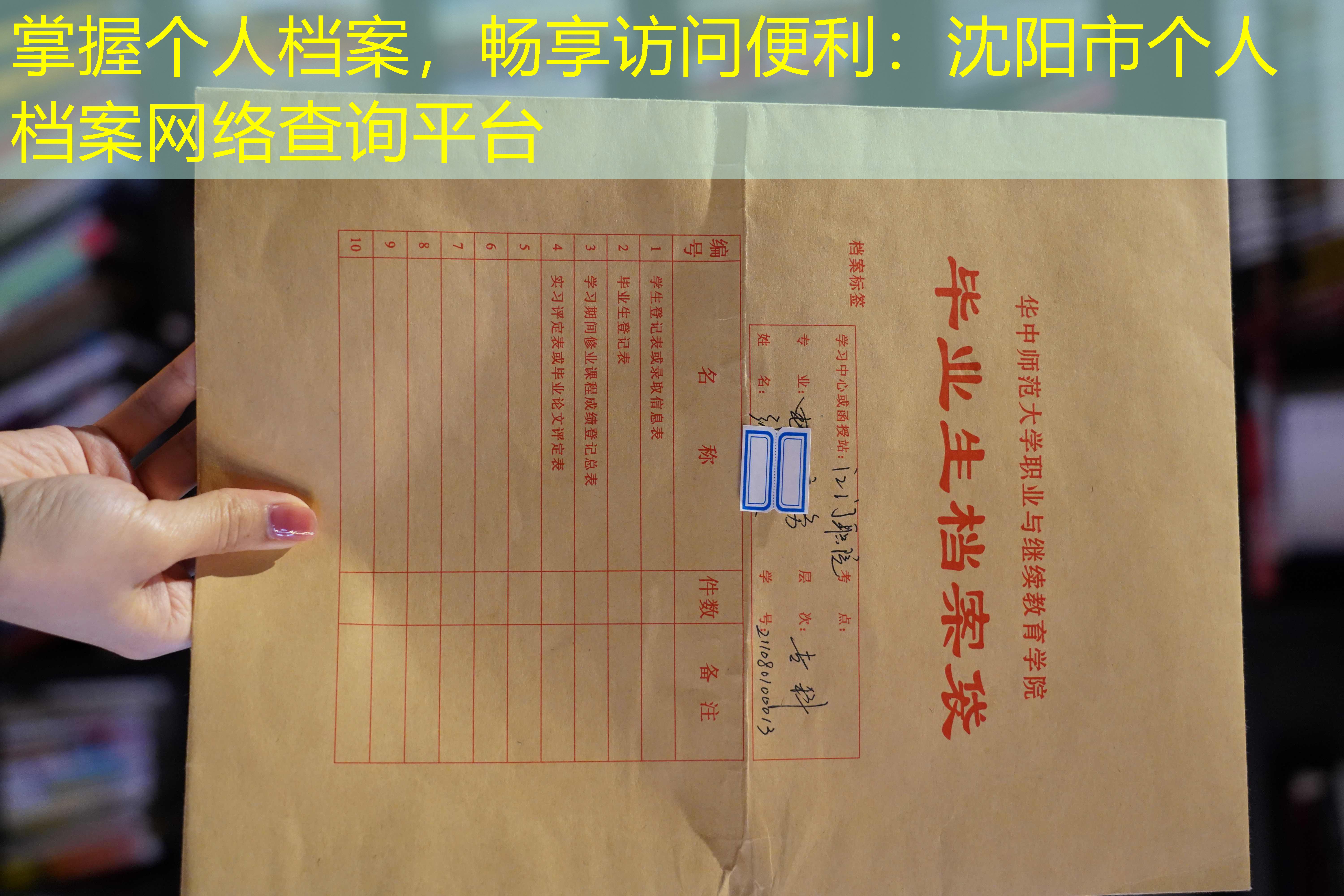 档案查询