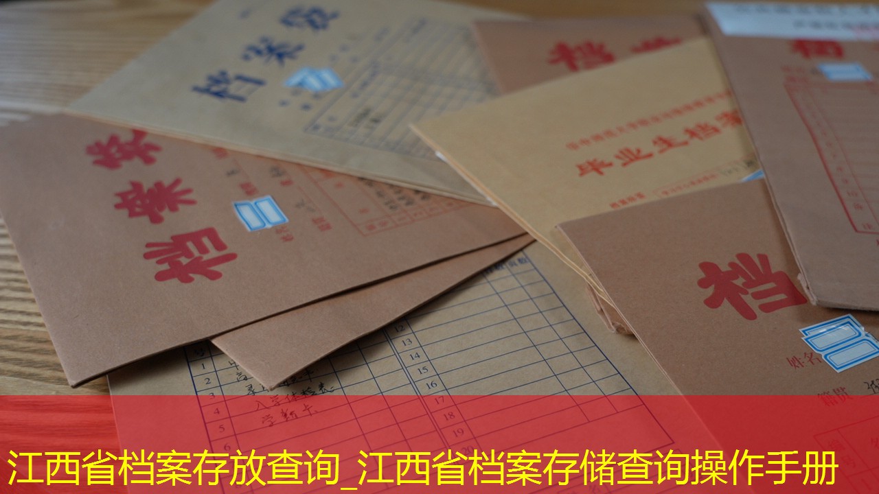 档案查询