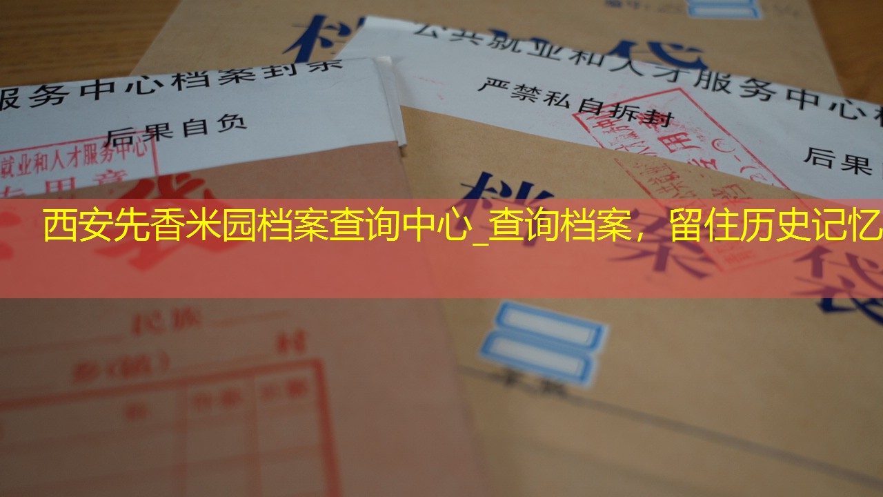 档案查询