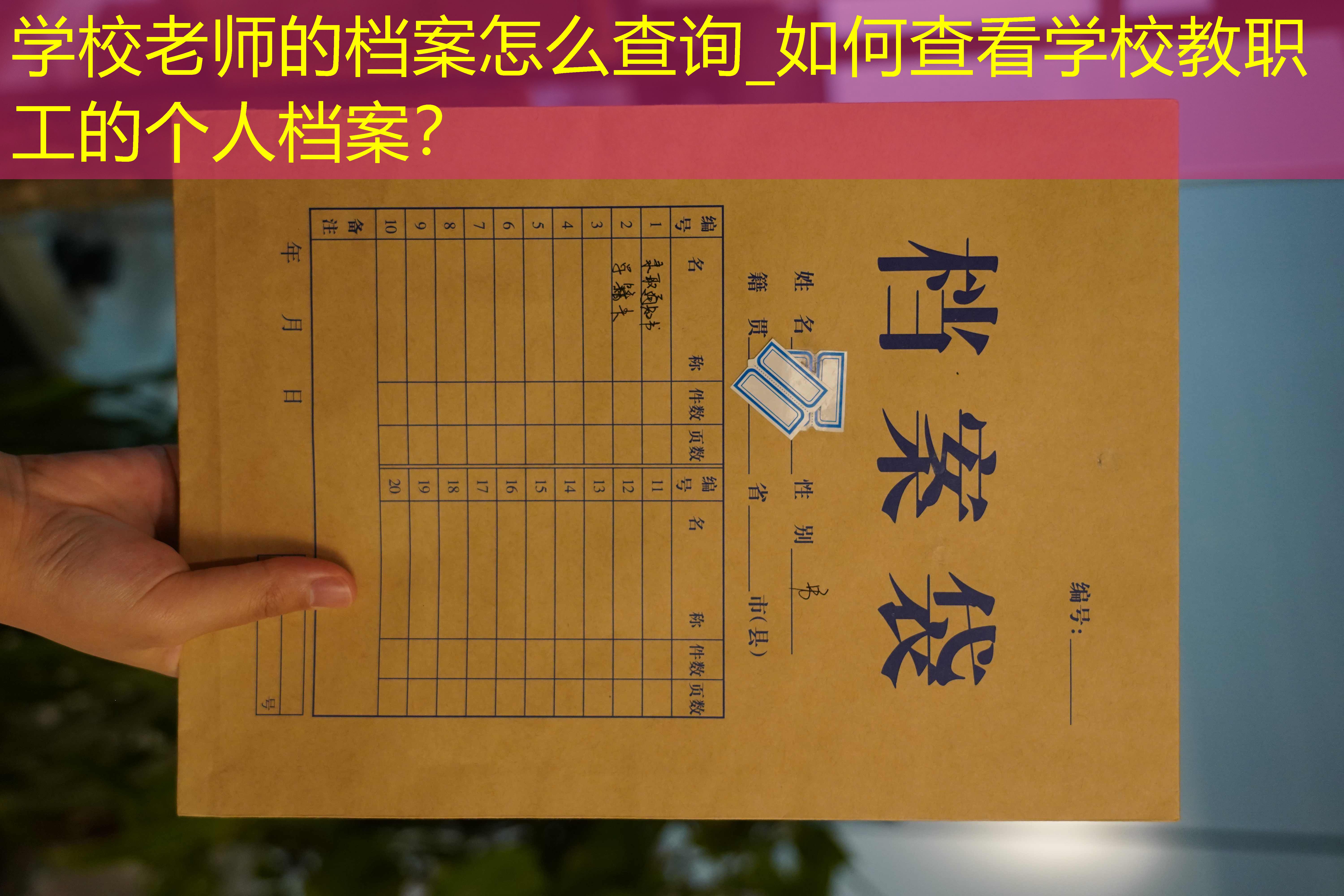 档案查询