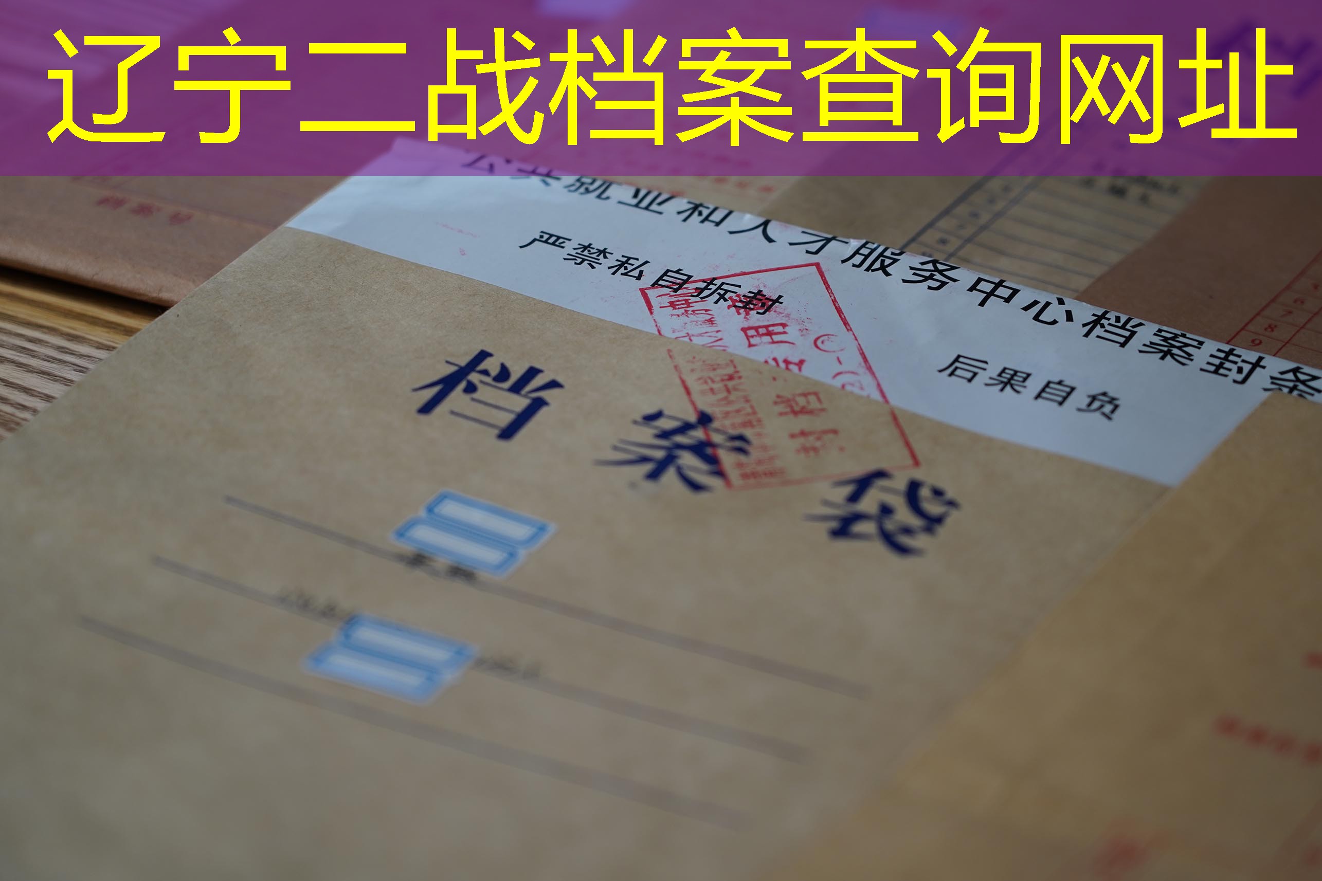 档案查询