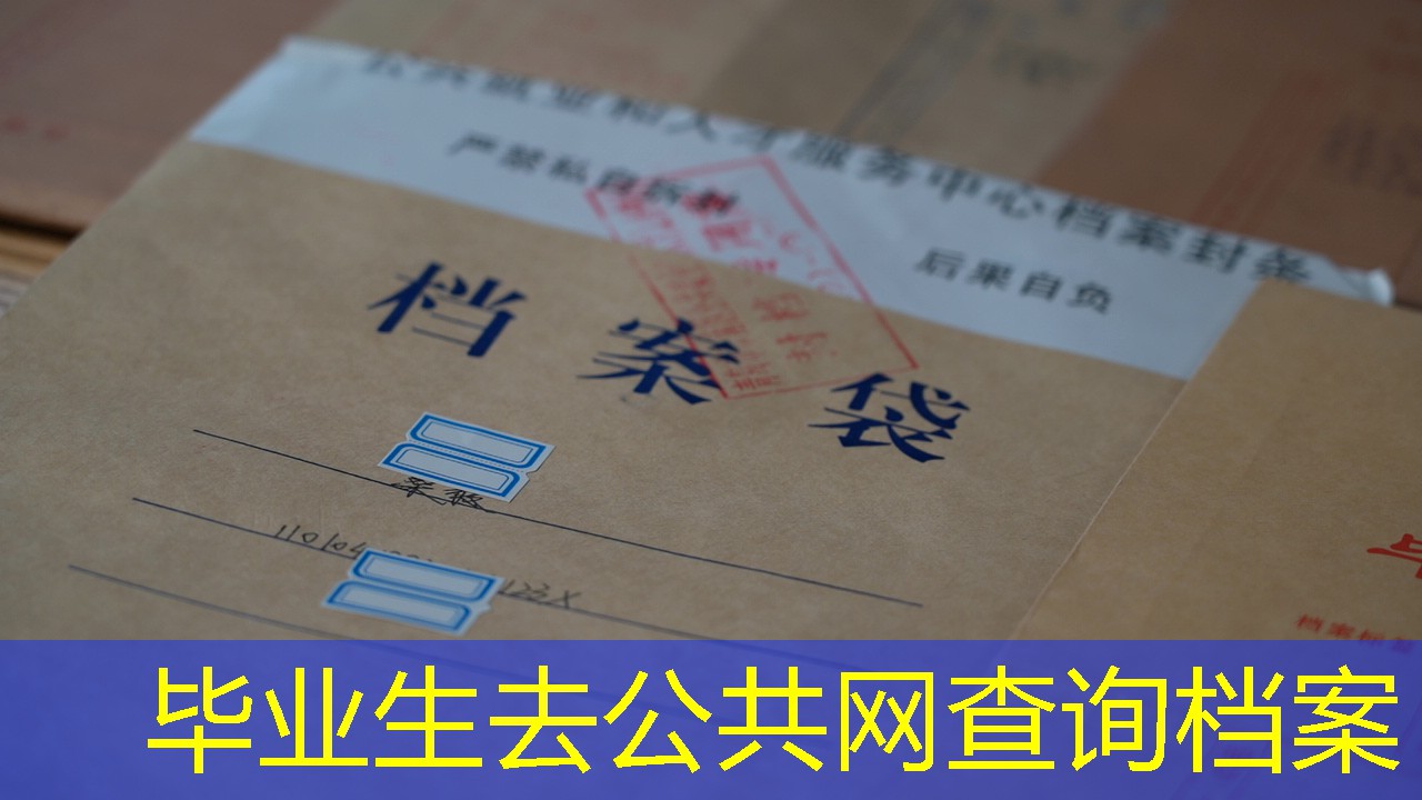 档案查询