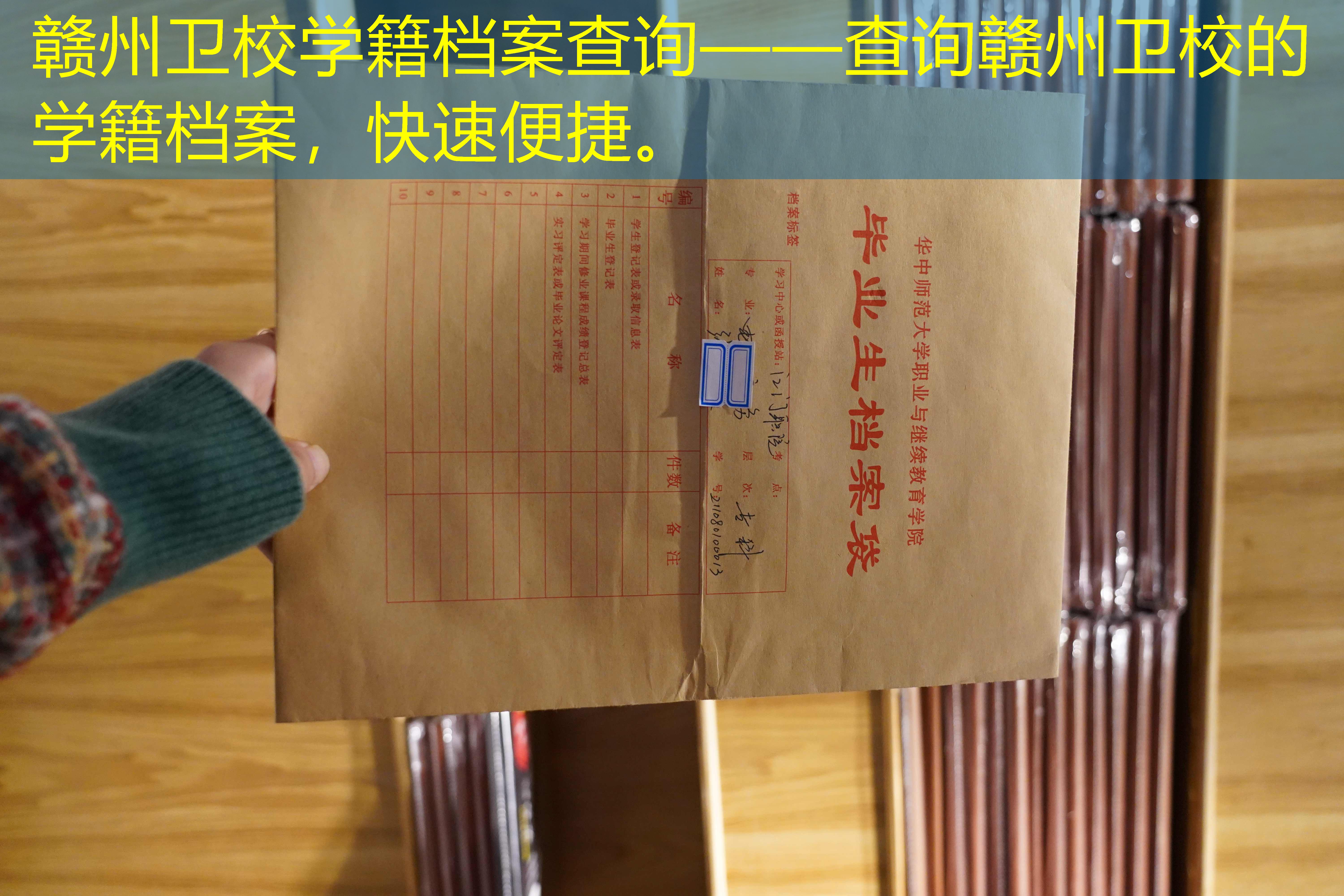 档案查询