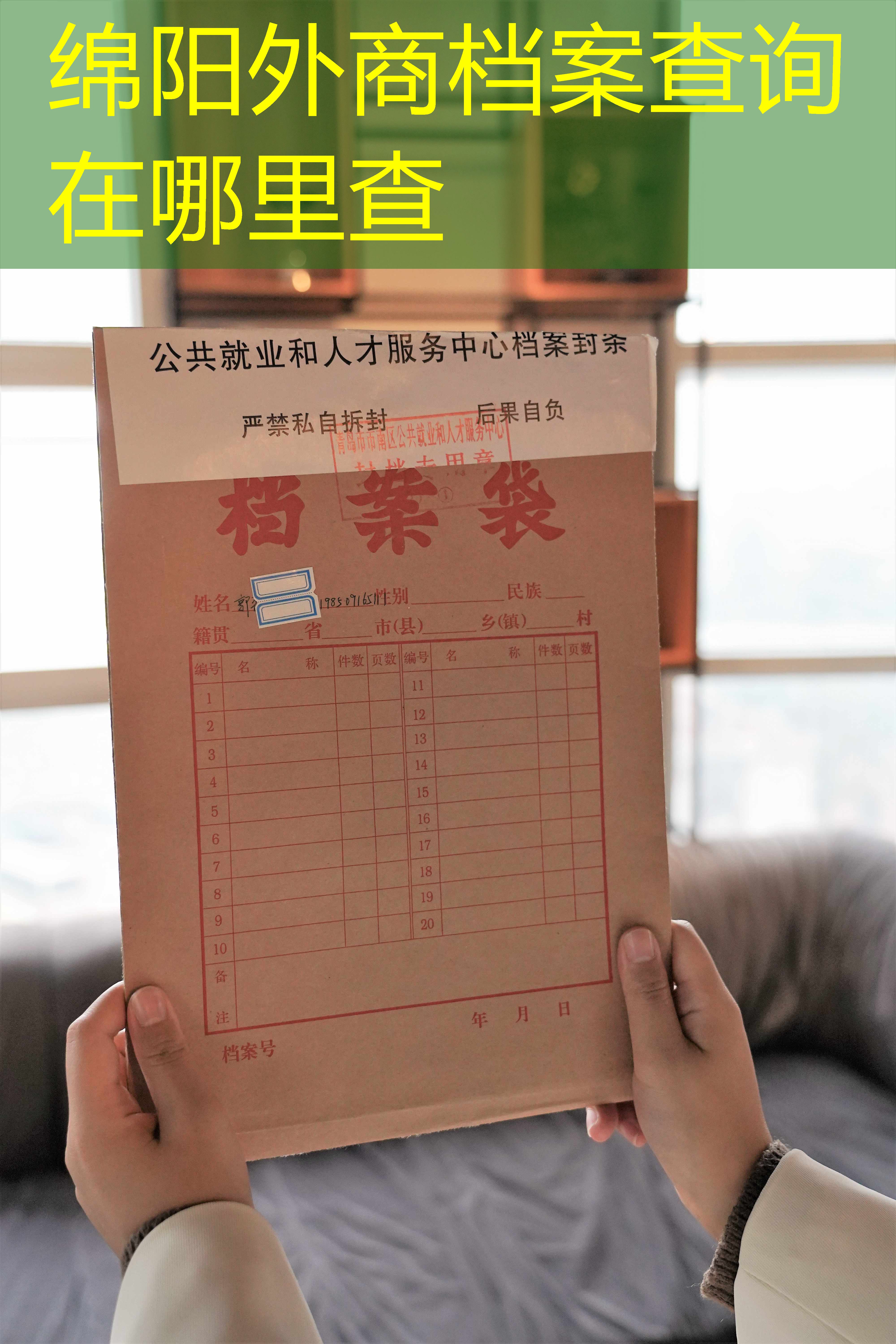 档案查询