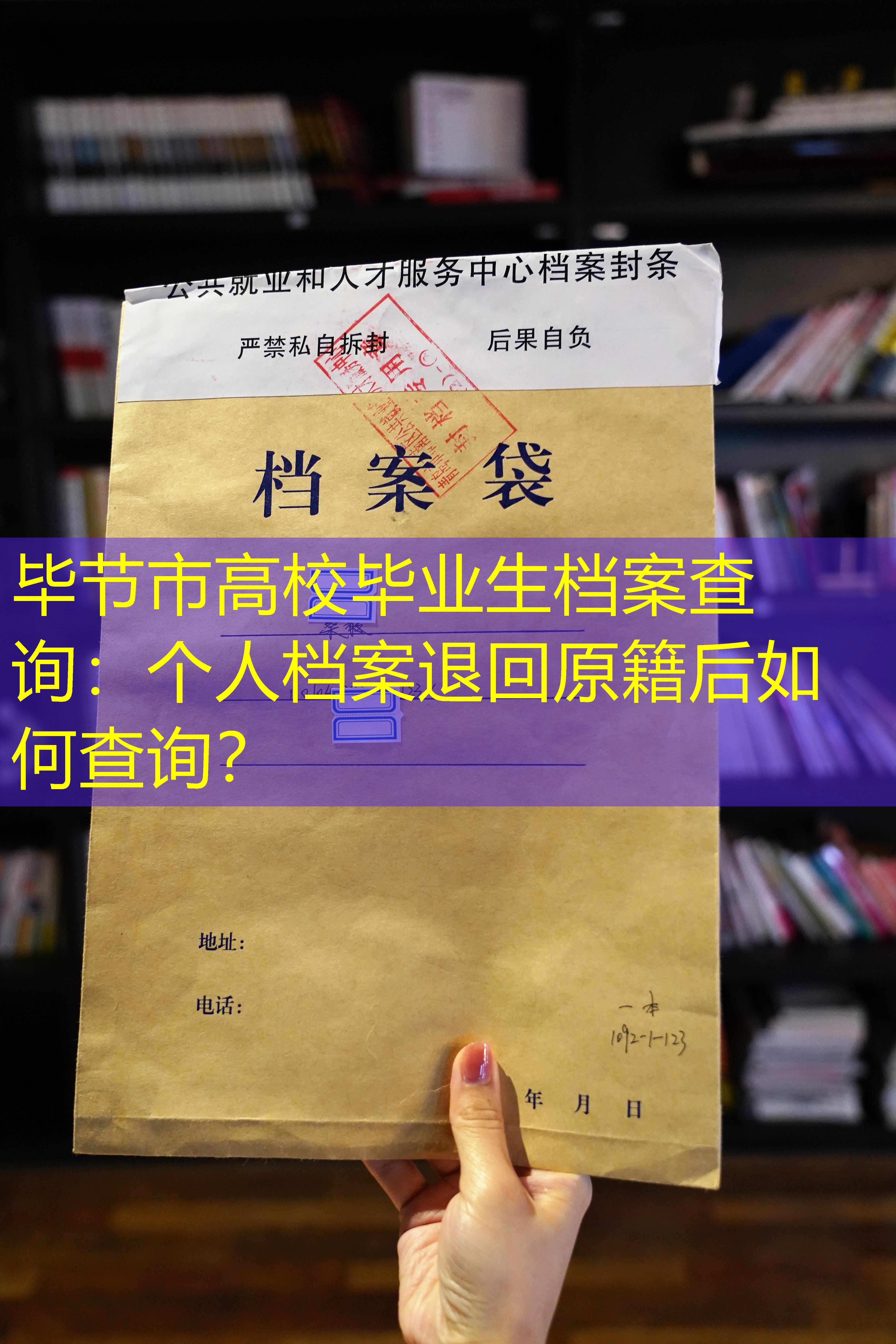档案查询