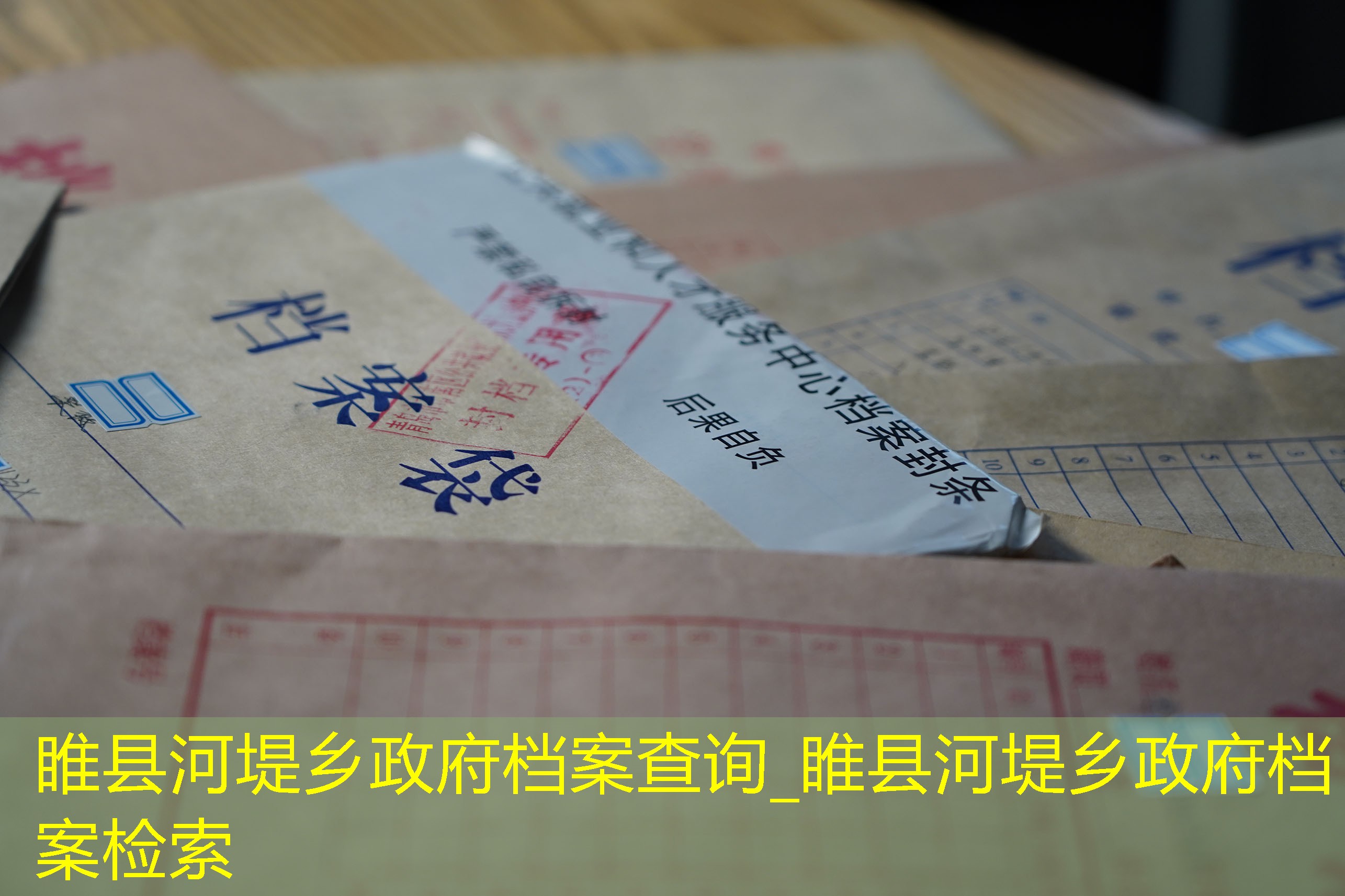 档案查询