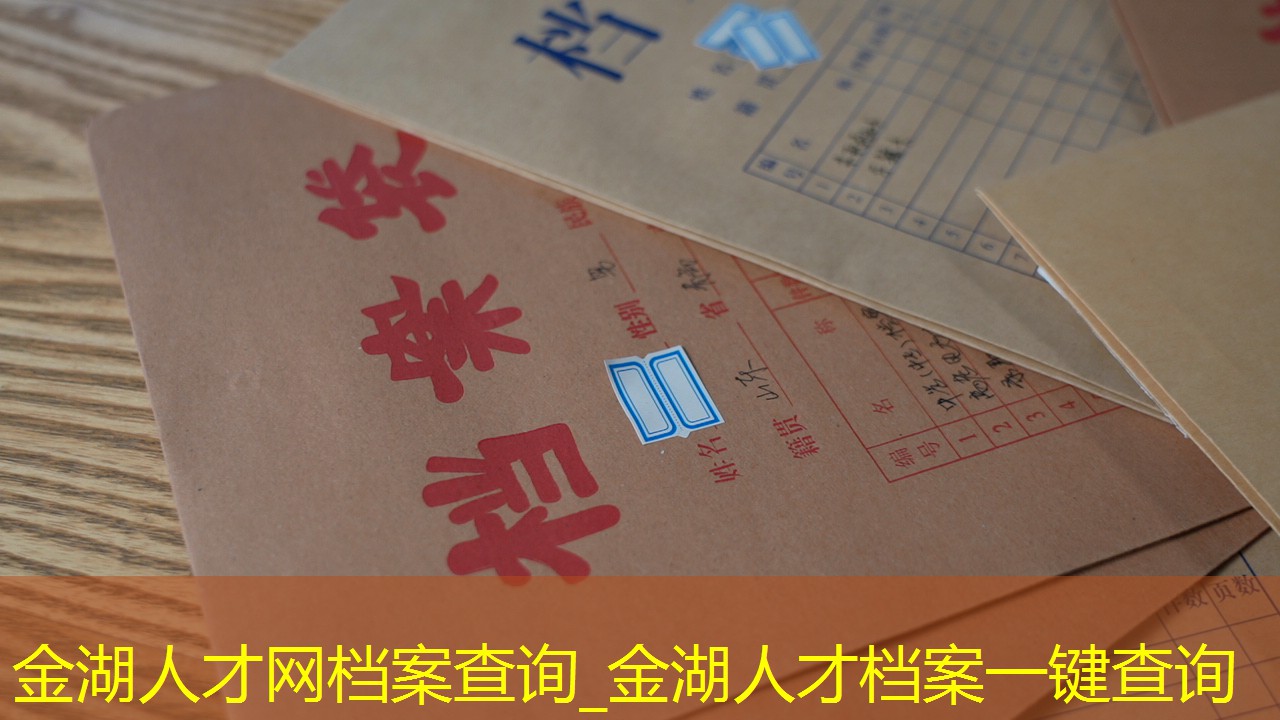 档案查询