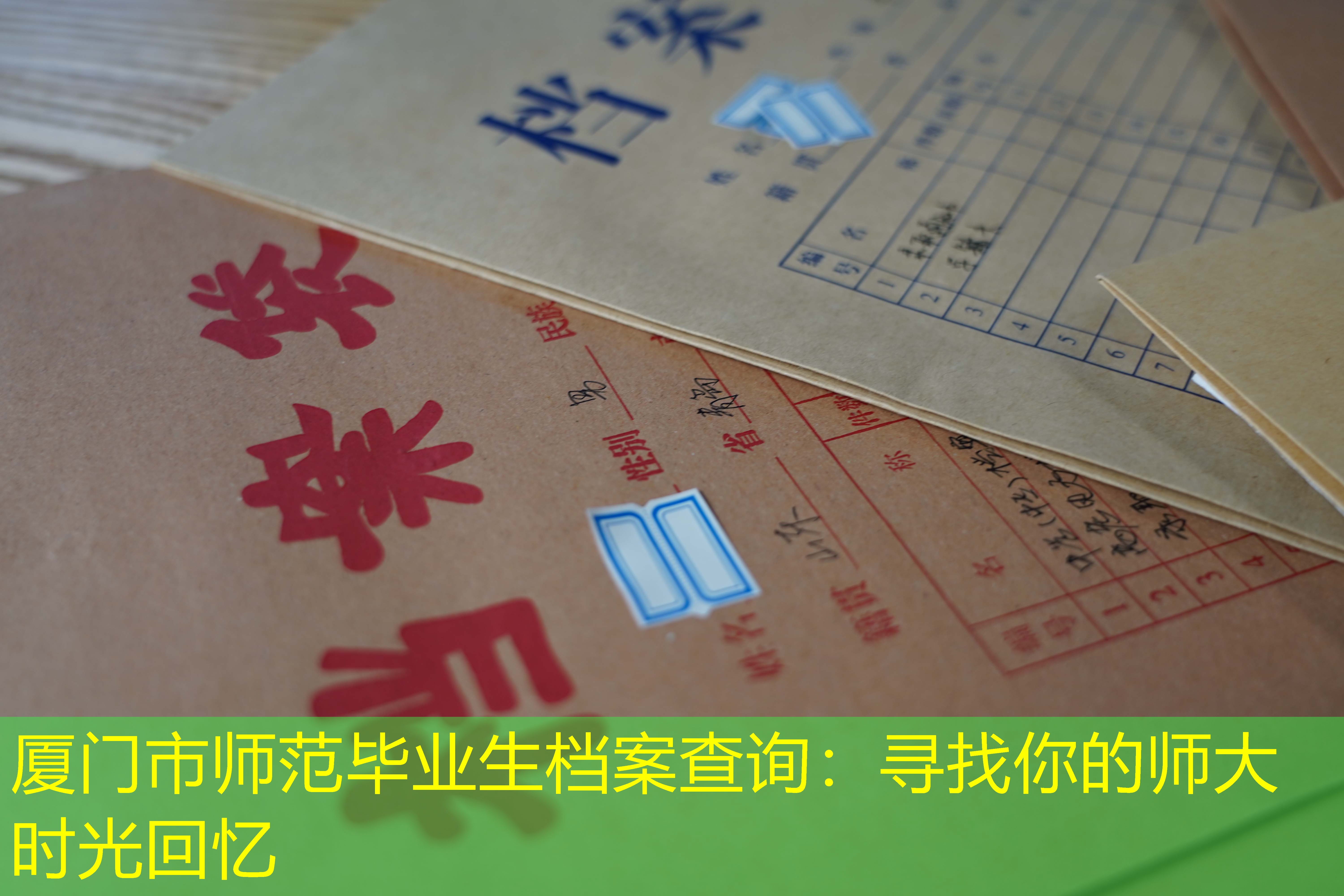 档案查询