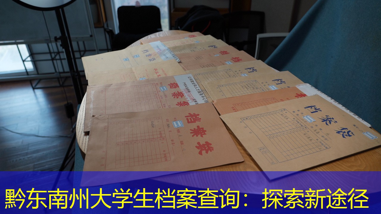 档案查询