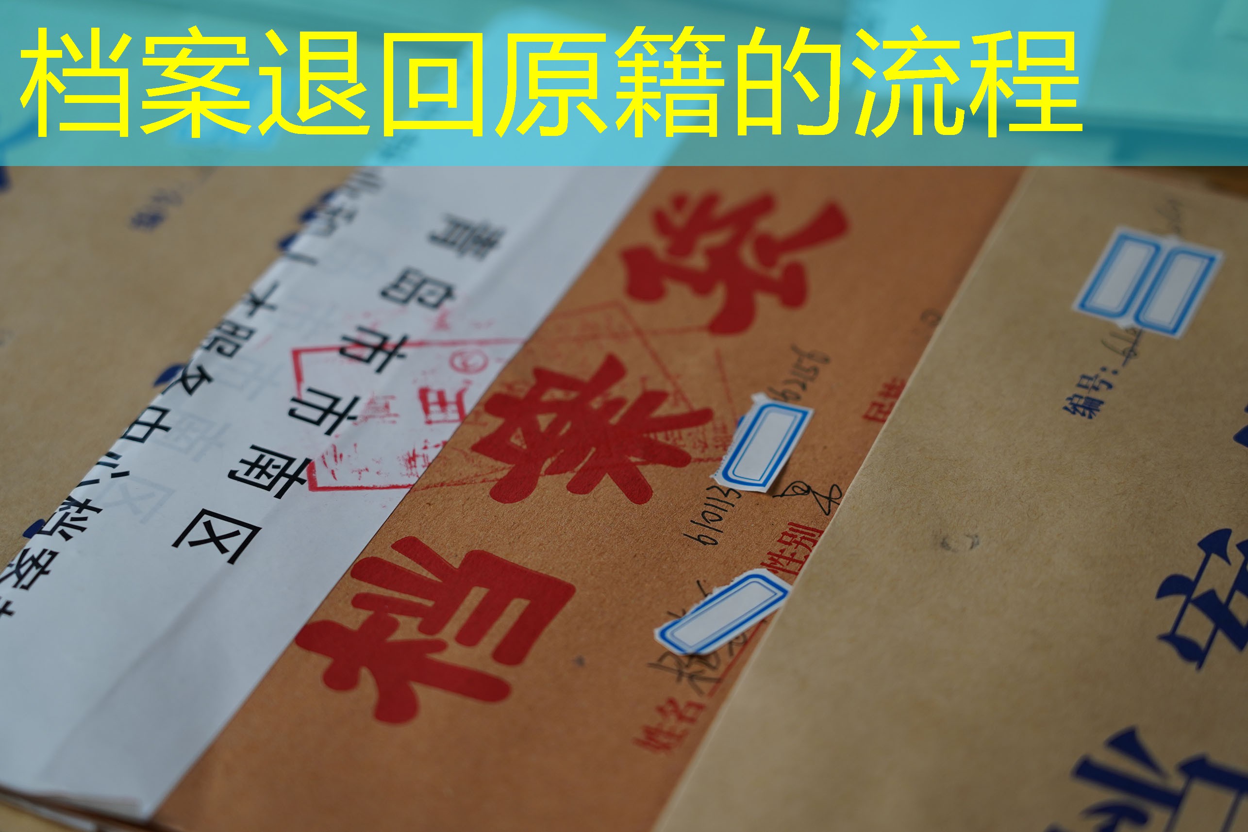 档案查询