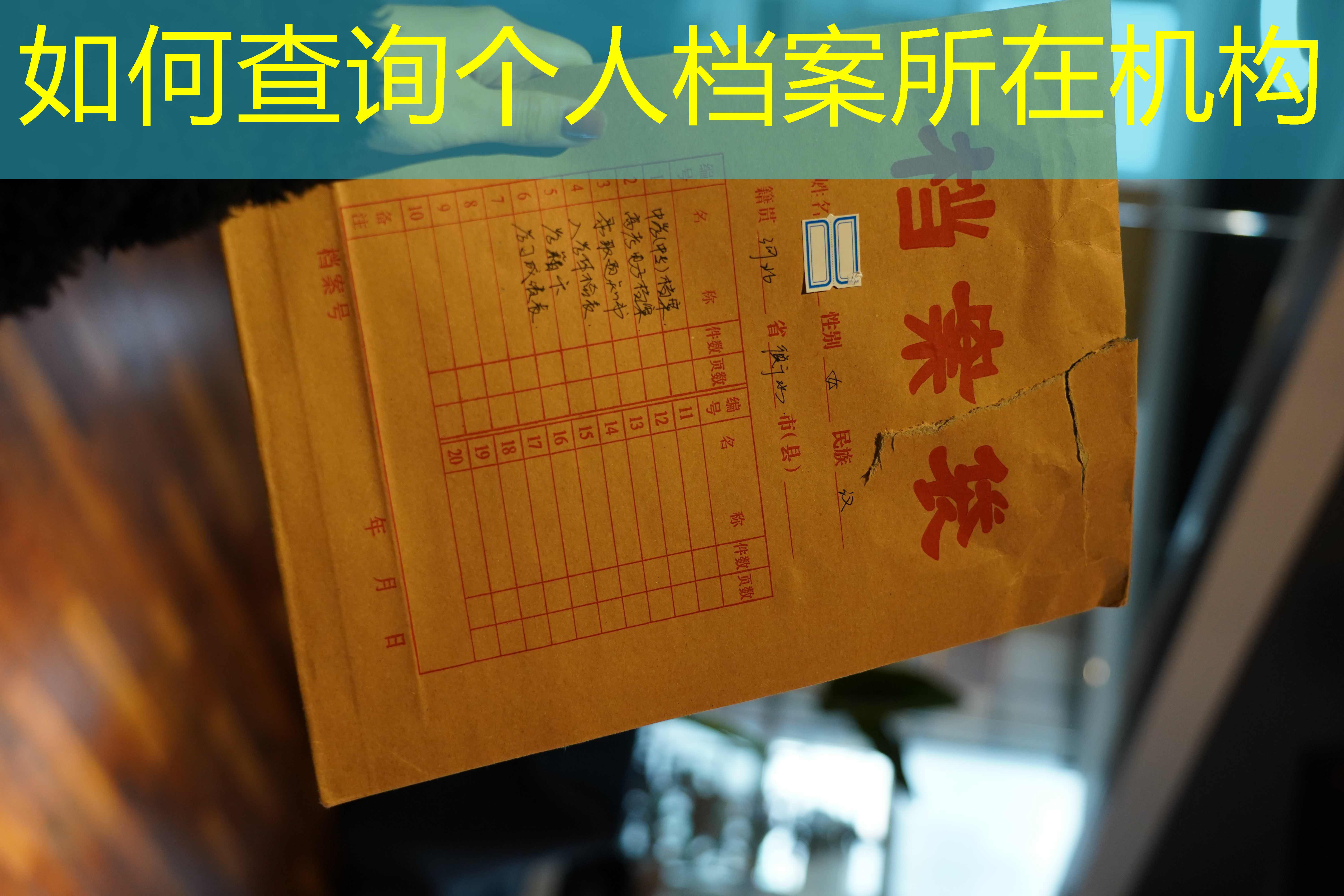 档案查询