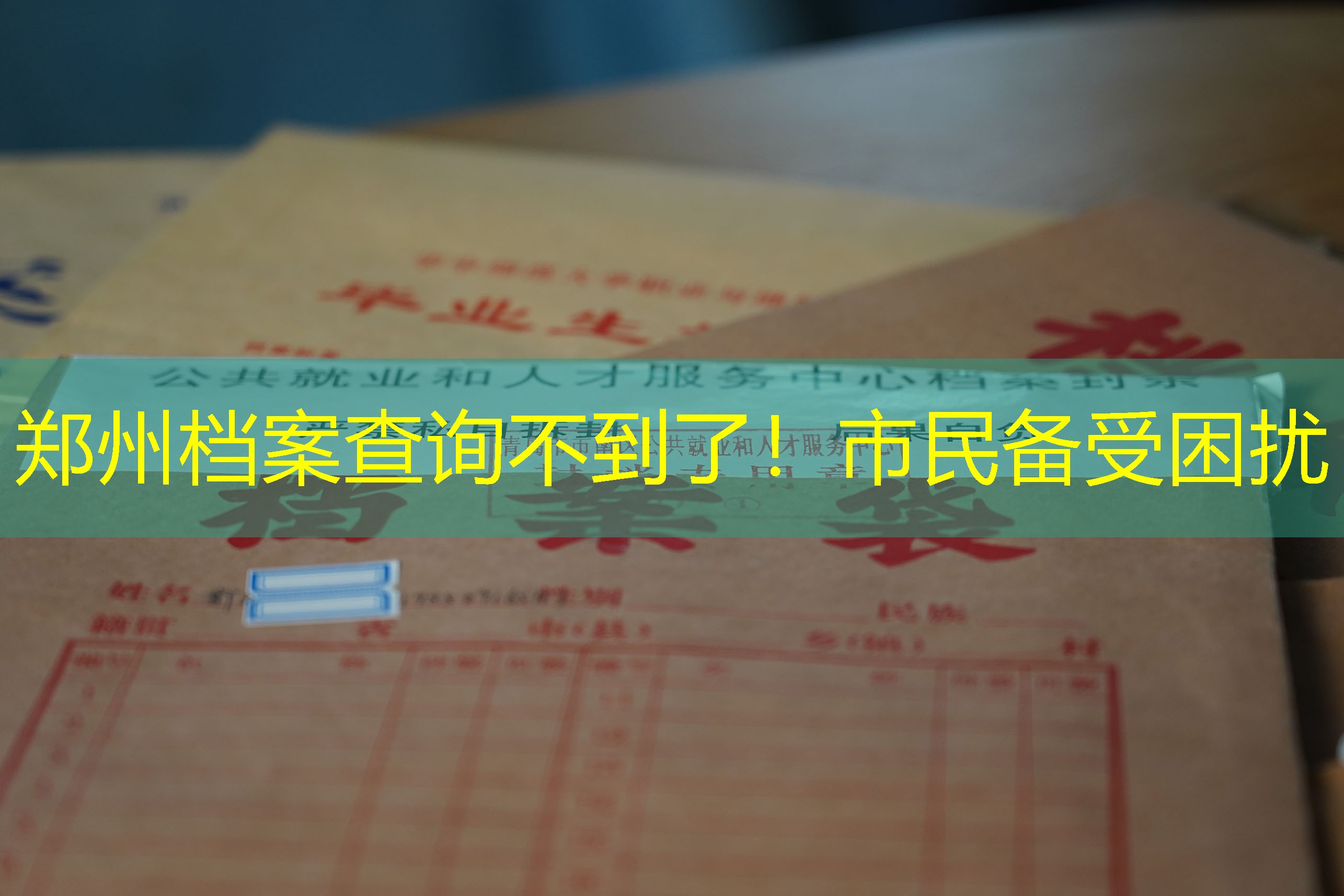 档案查询