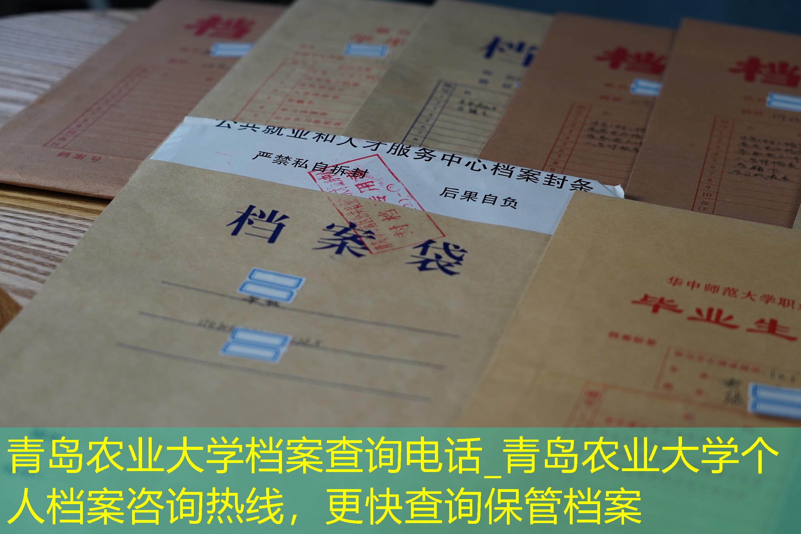档案查询