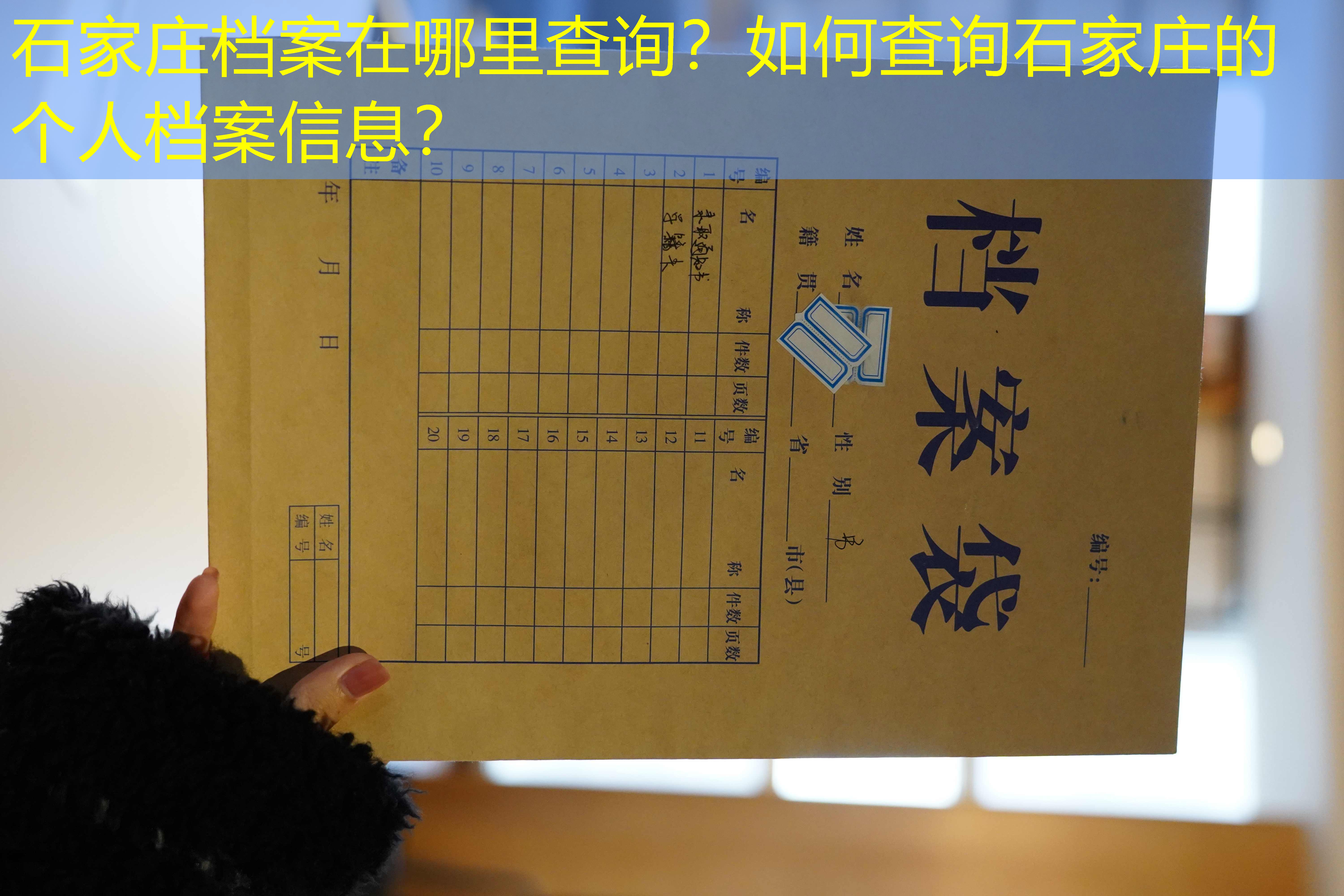 档案查询