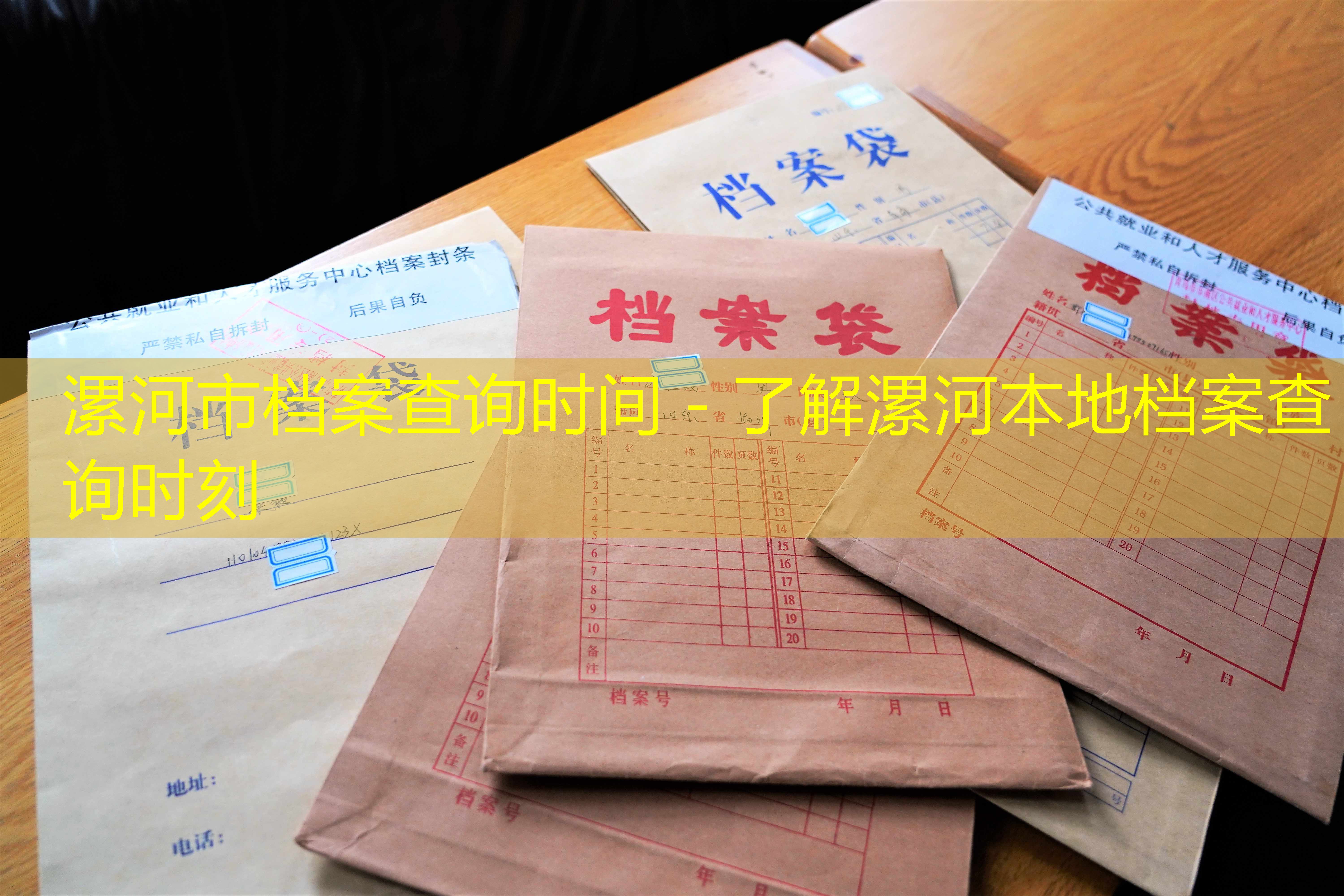 档案查询