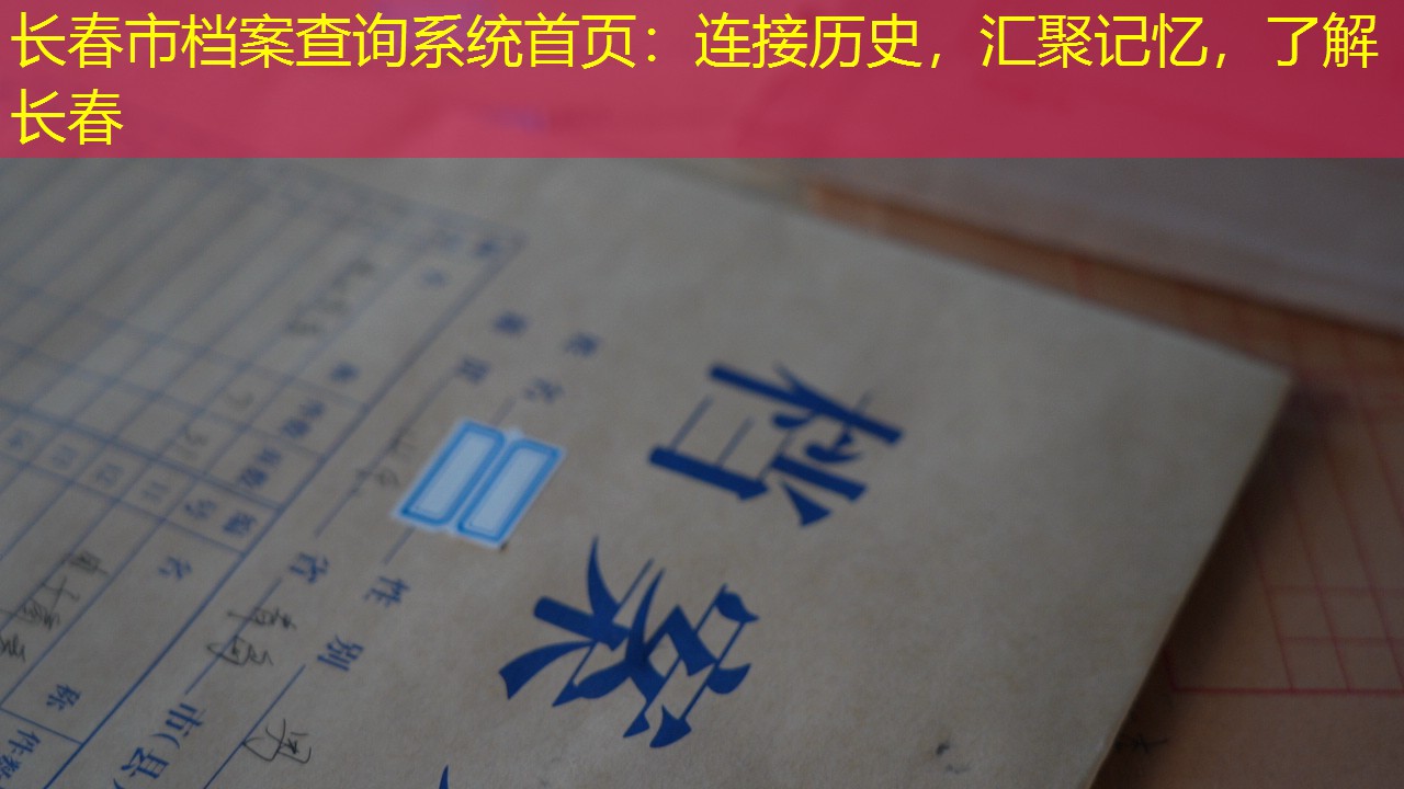 档案查询