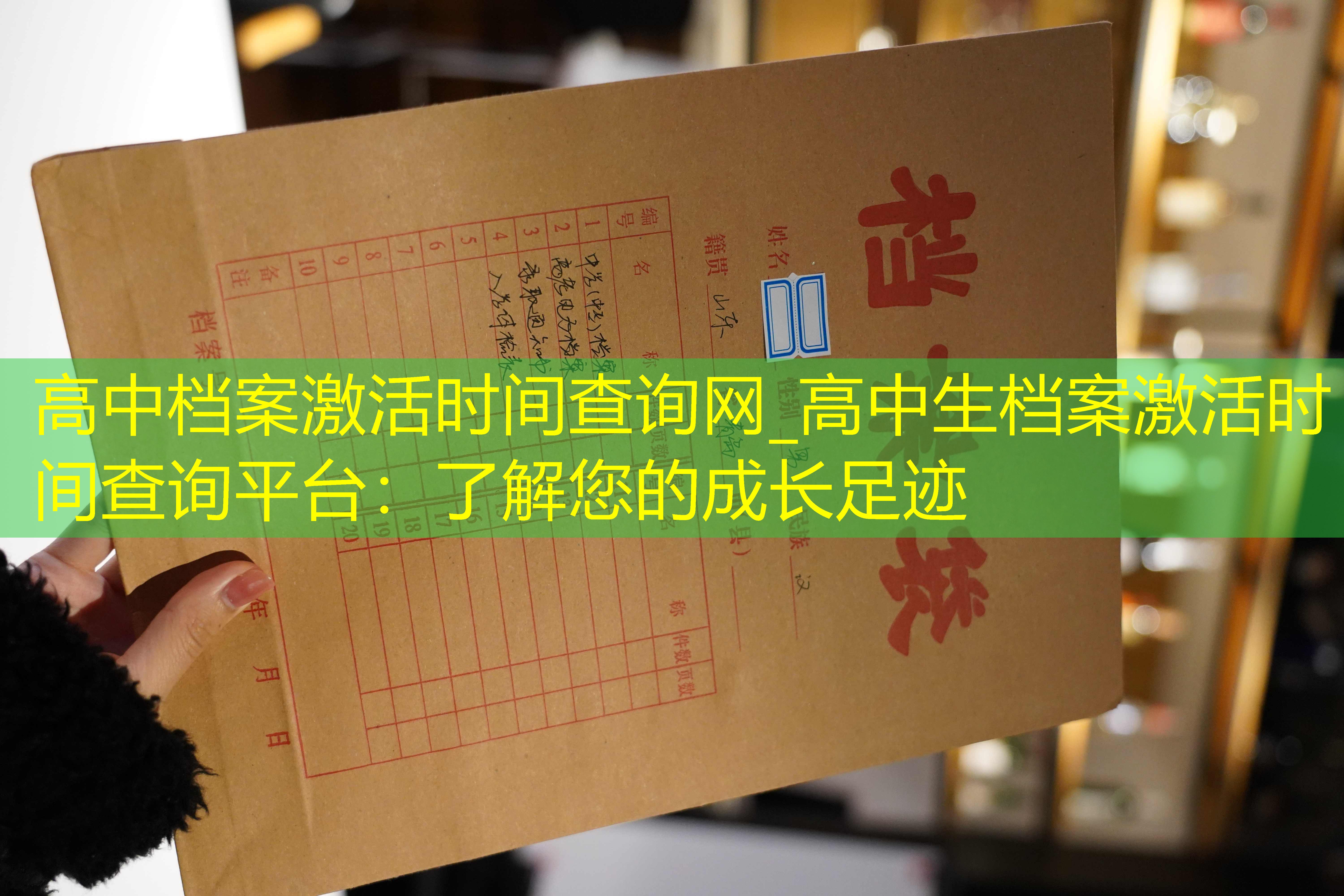 档案查询