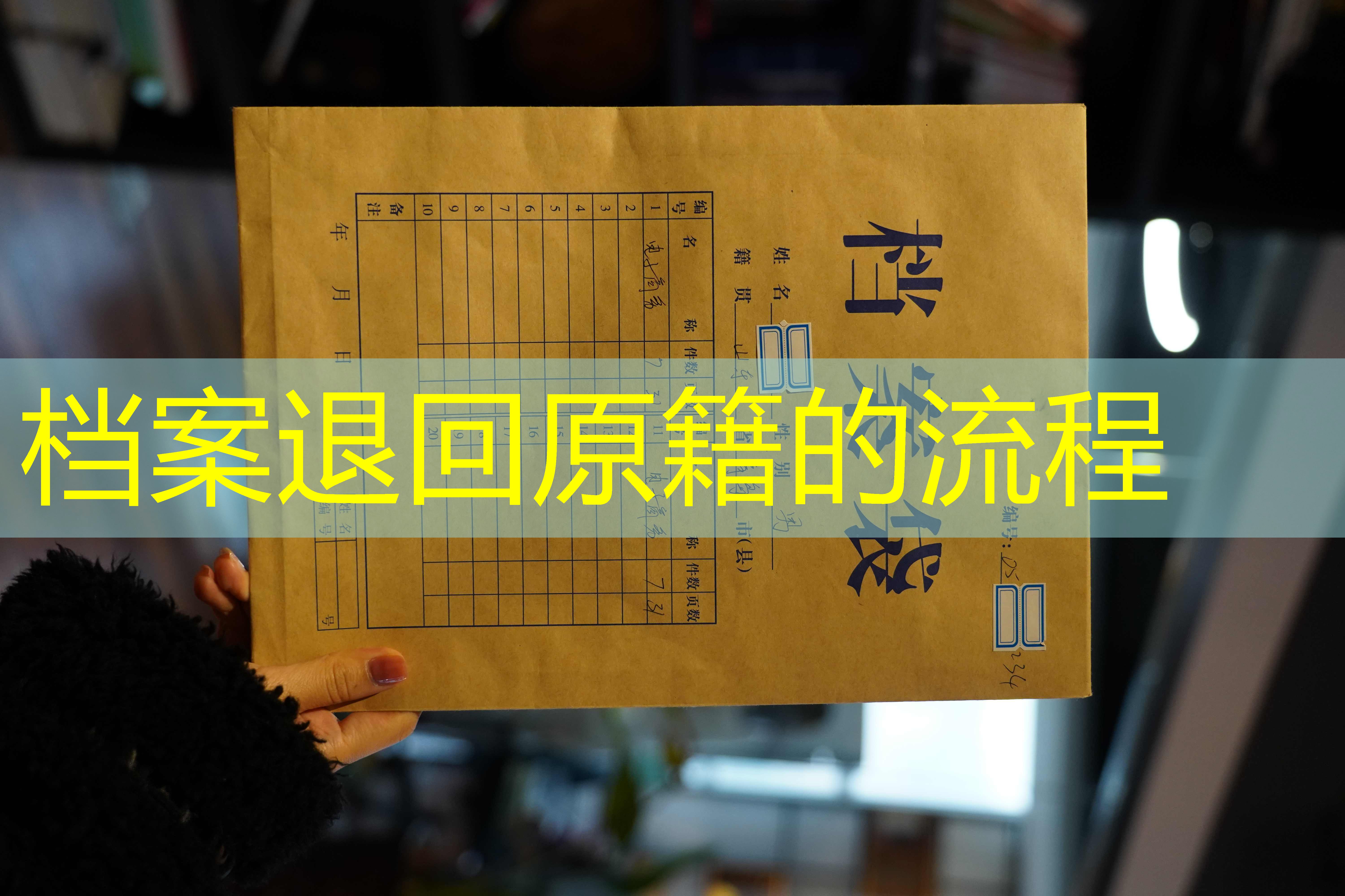 档案查询