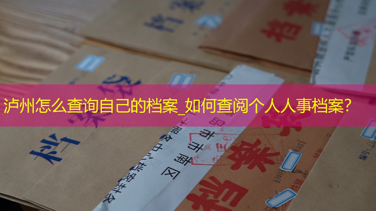 档案查询