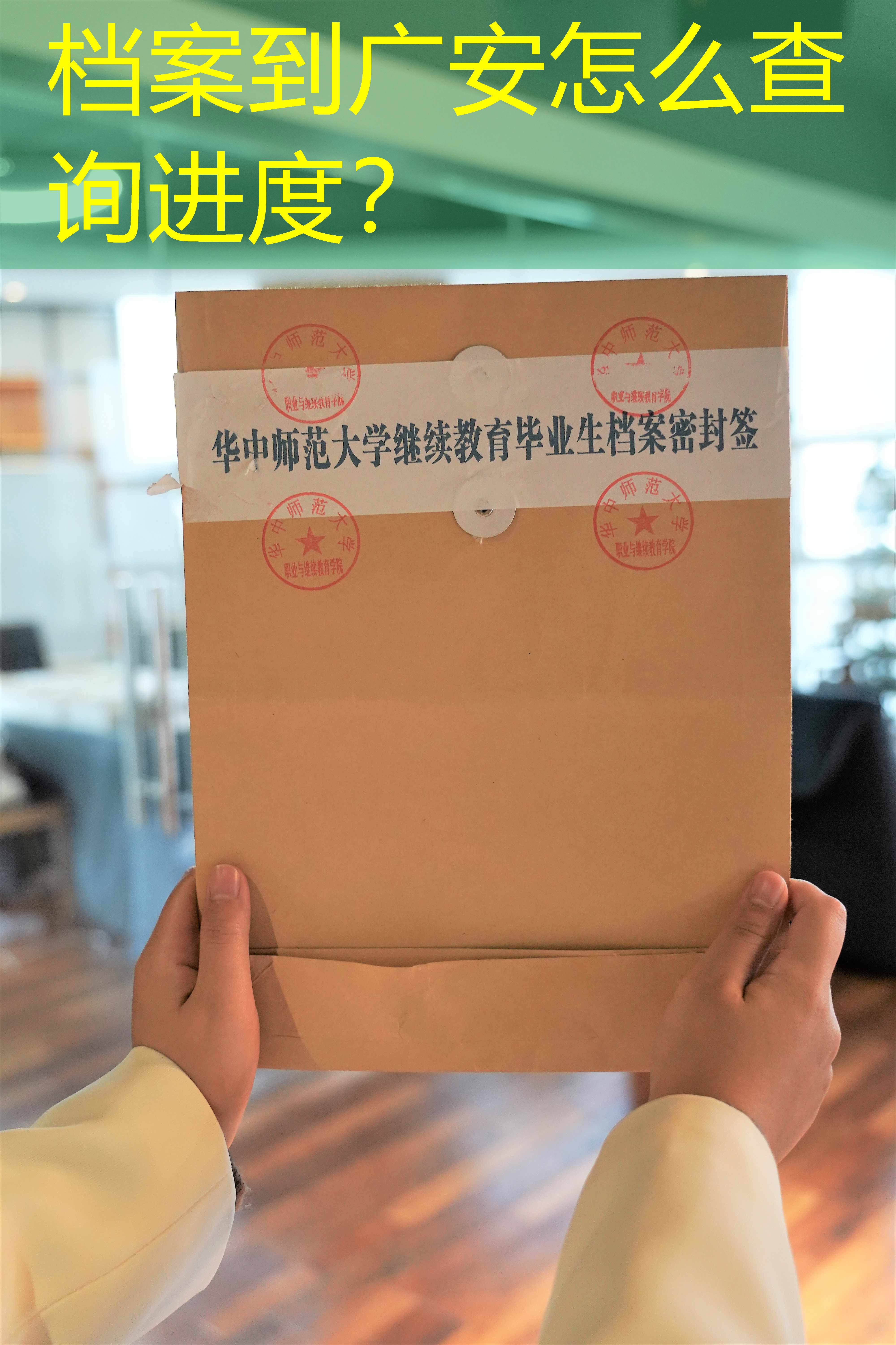 档案查询