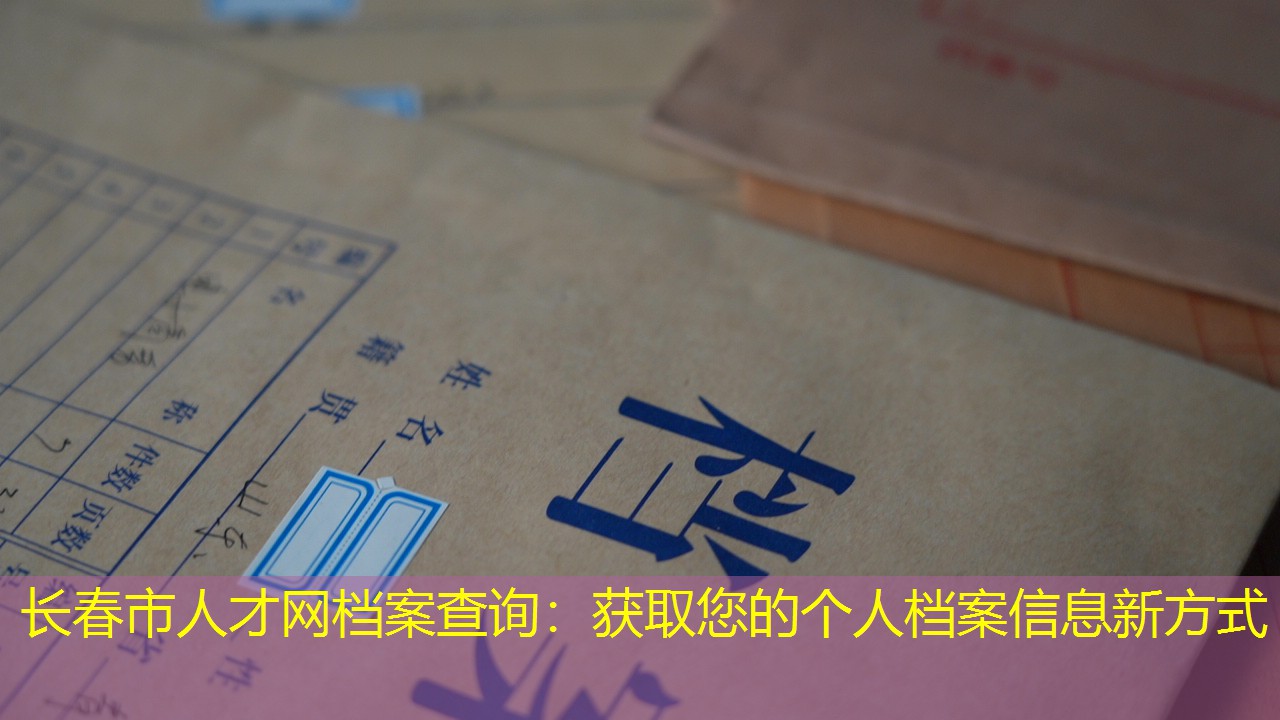 档案查询