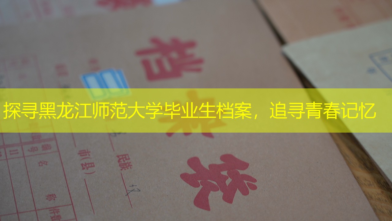 档案查询