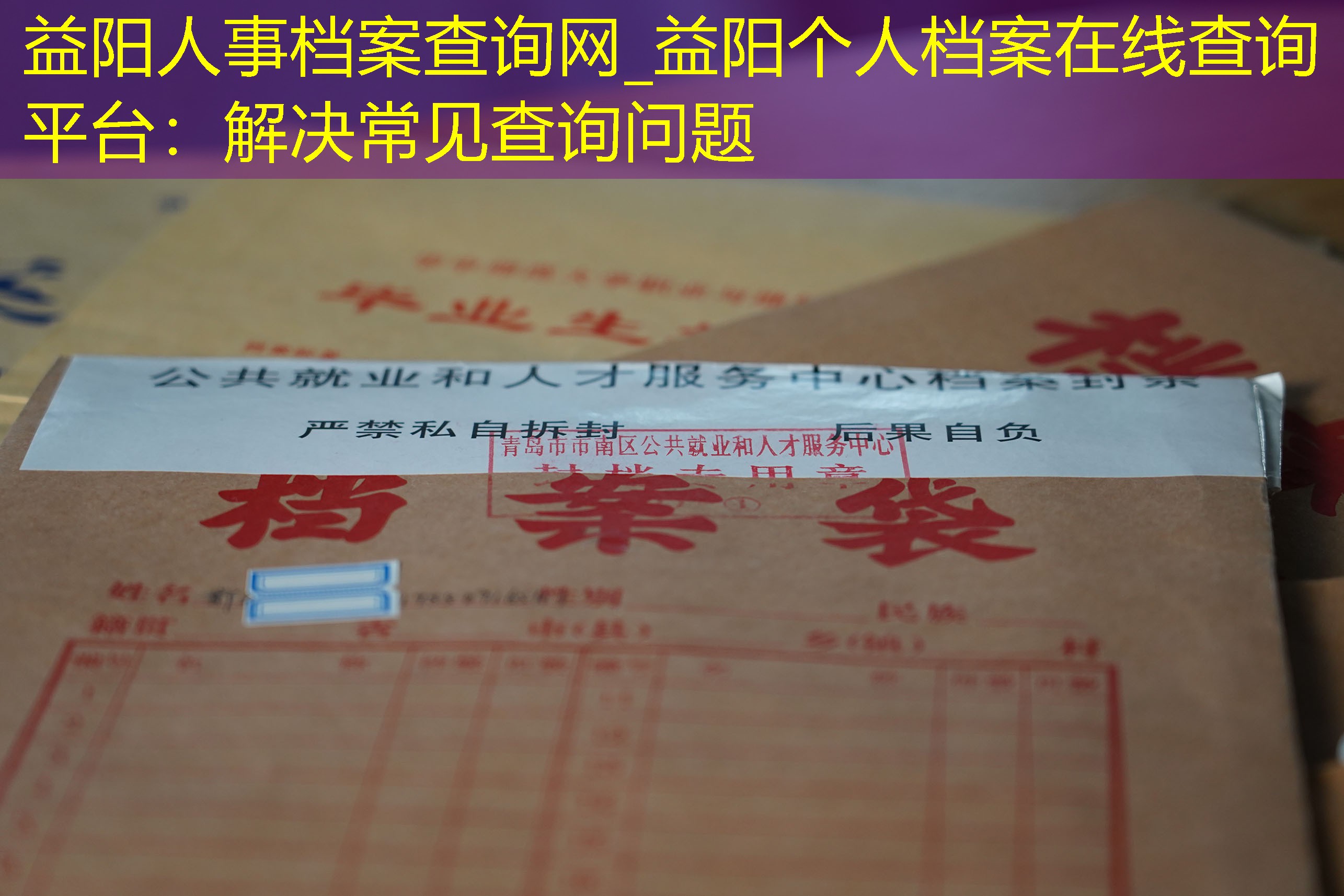 档案查询