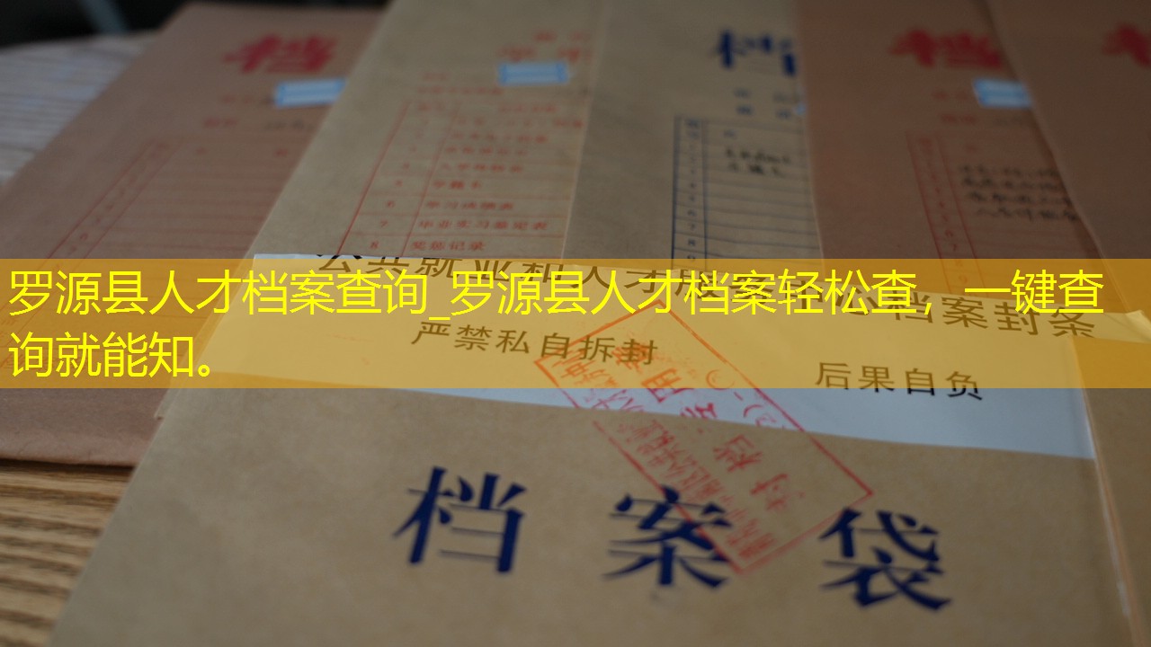 档案查询