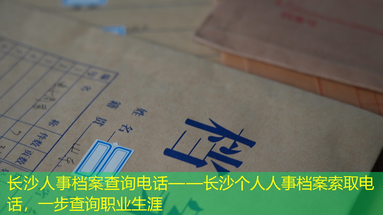 档案查询