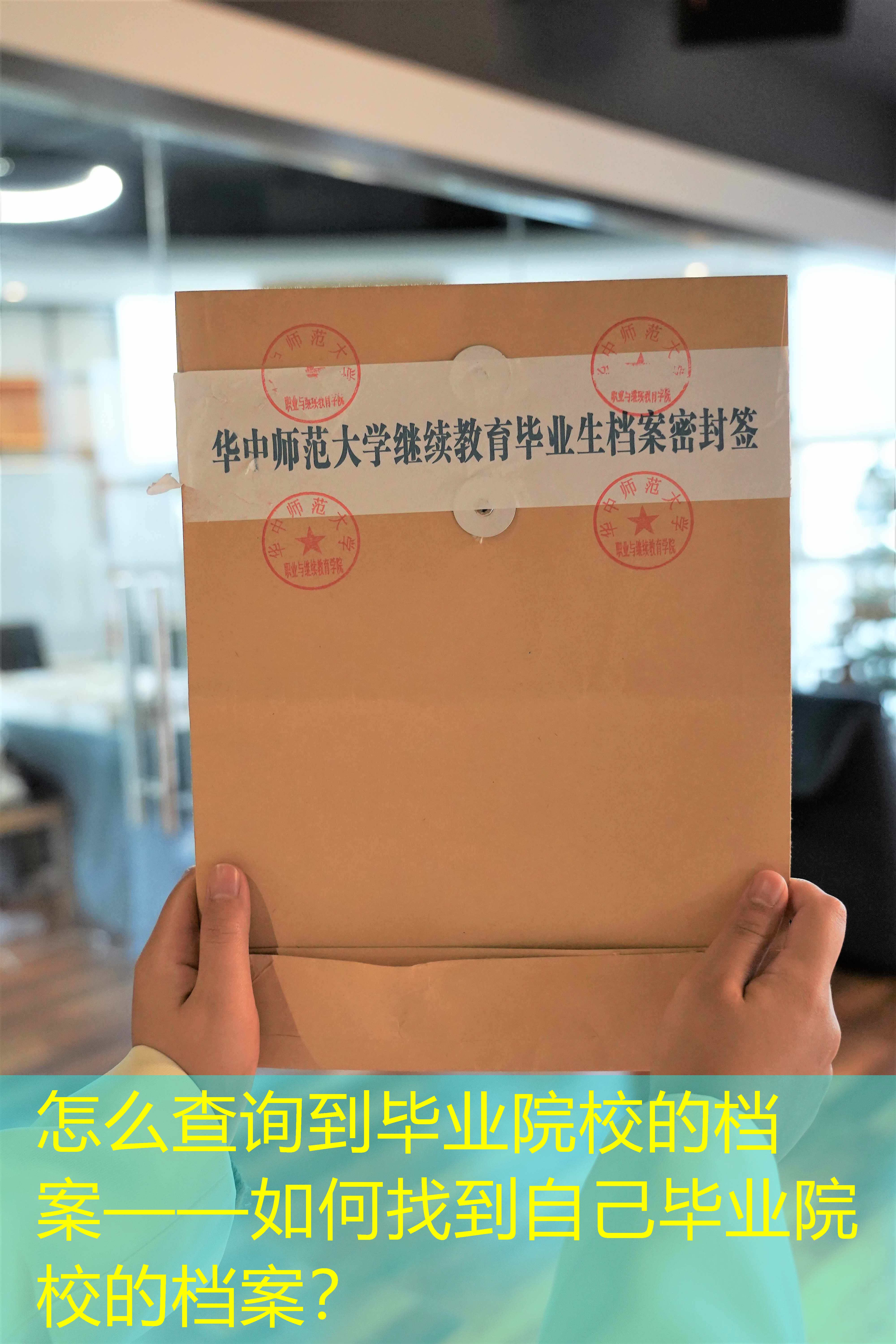 档案查询