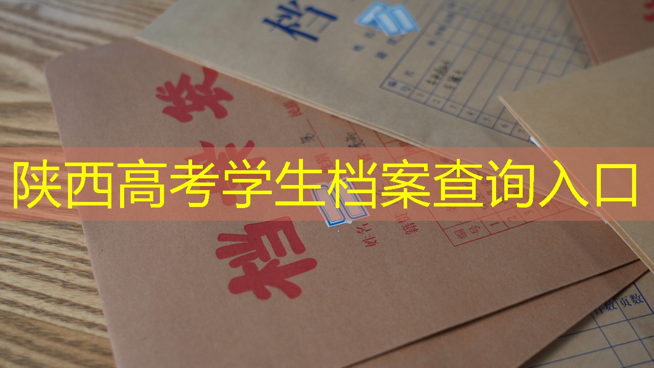 档案查询