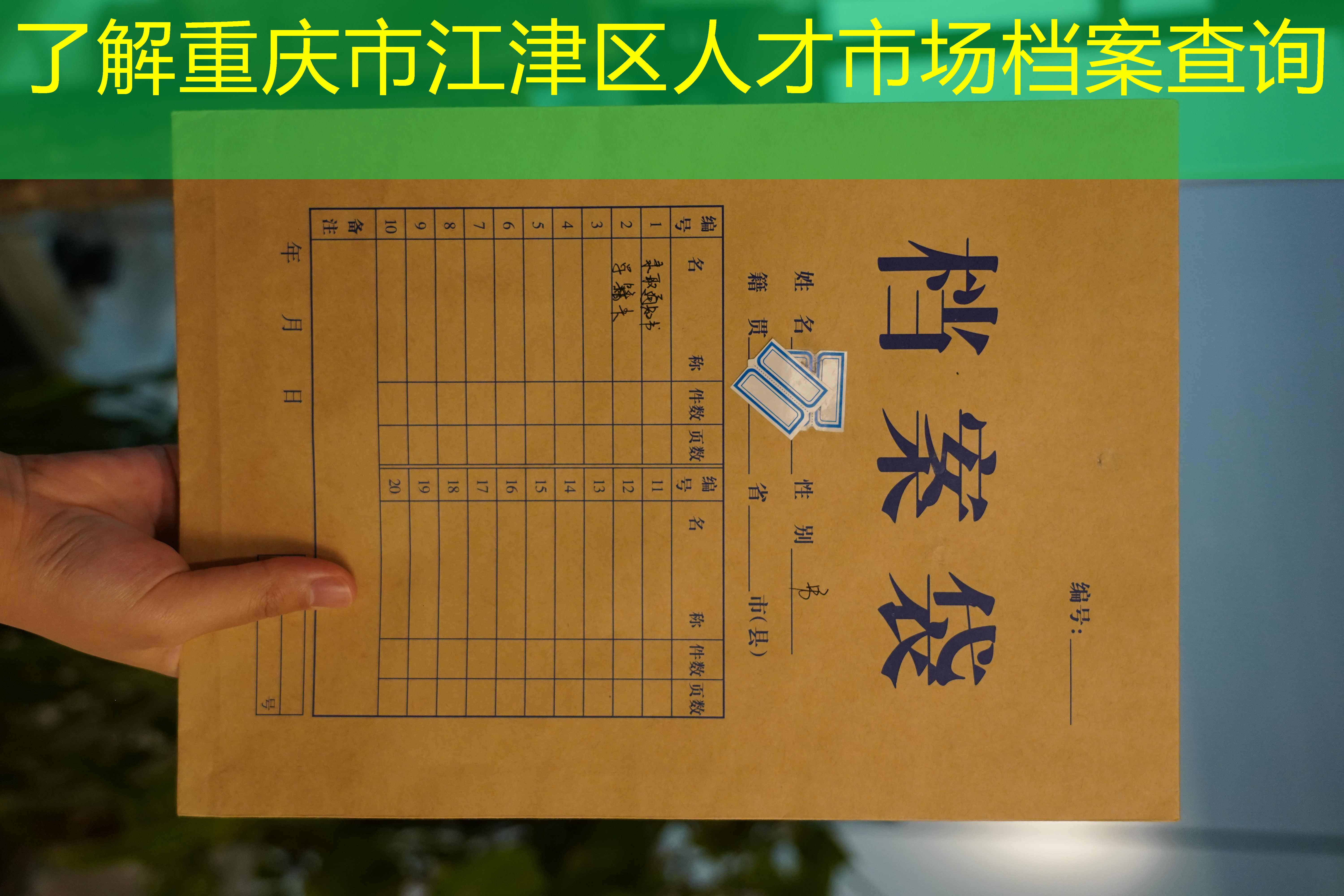 档案查询